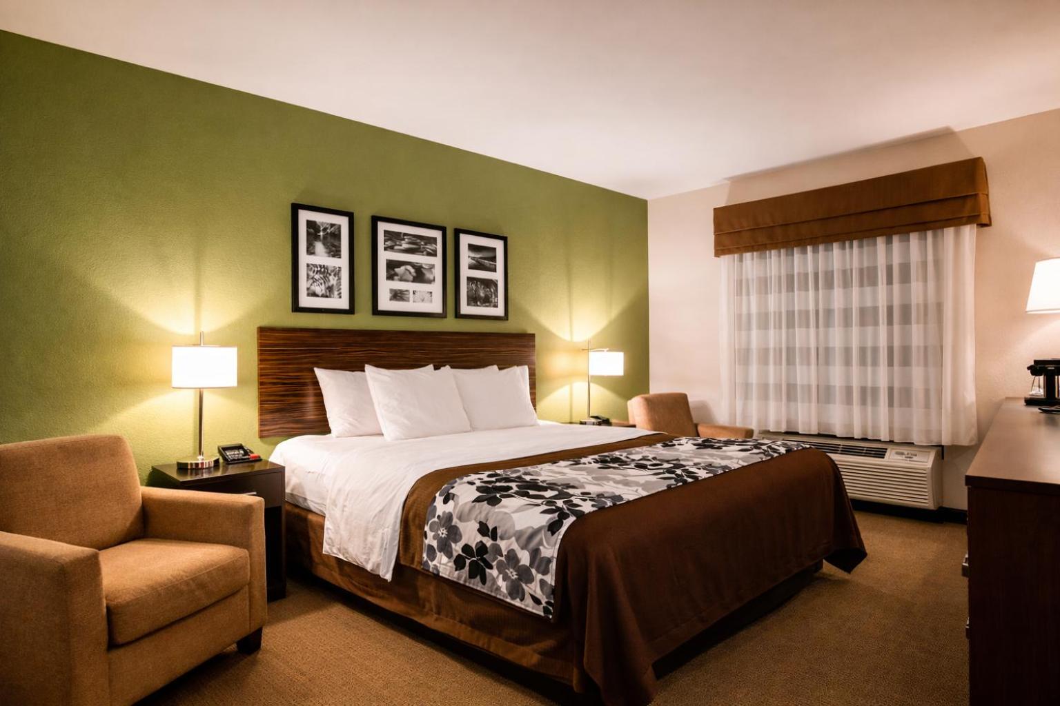 King Room - Accessible/Non-Smoking - Photo 8