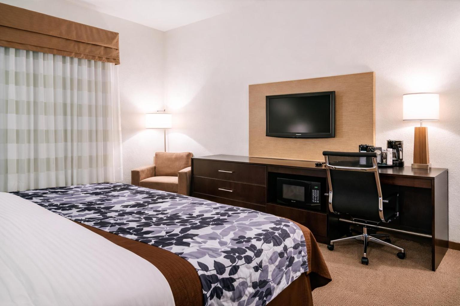 King Room - Accessible/Non-Smoking - Photo 9
