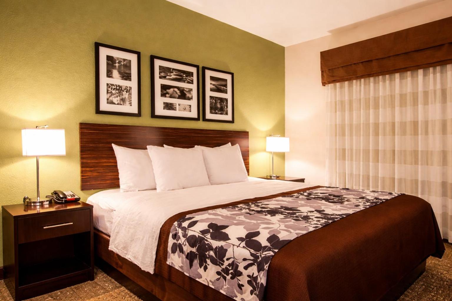 King Room - Accessible/Non-Smoking - Photo 2