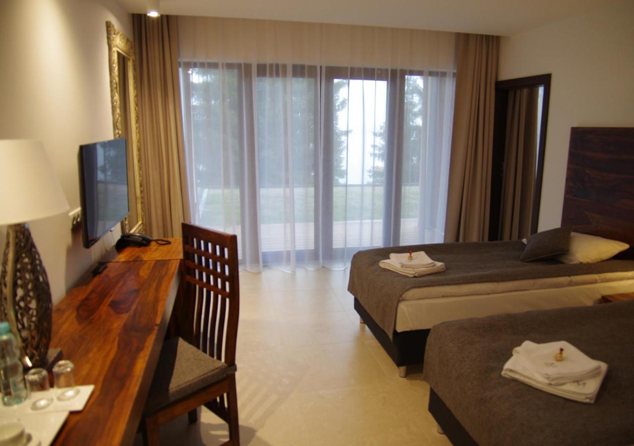 Superior Double or Twin Room with Lake View