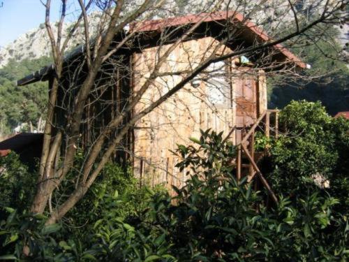 Tree House Triple Room photo 2