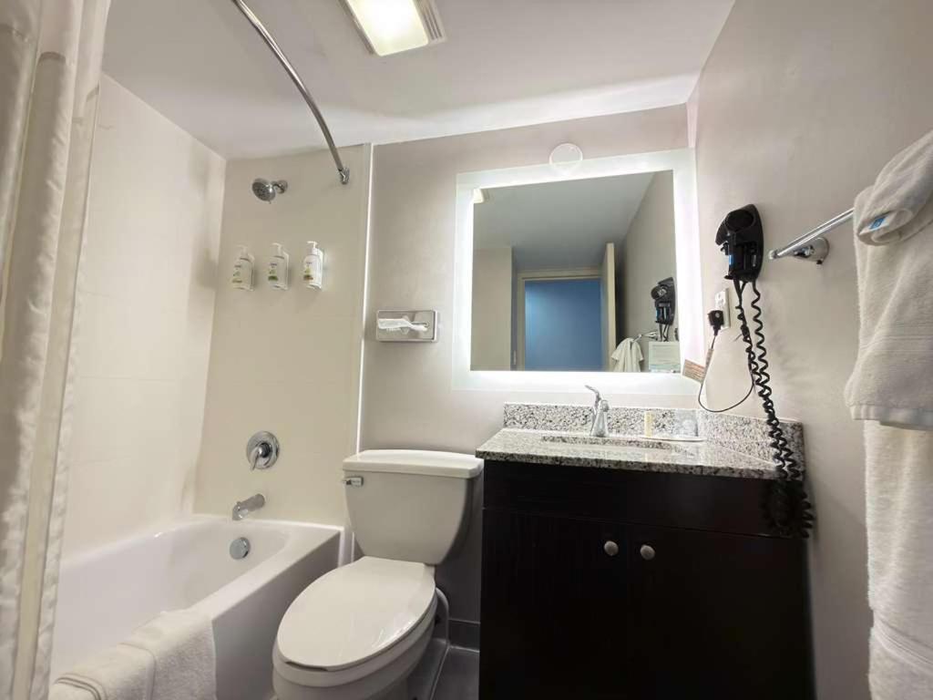 King Room - Pet Friendly/Non-Smoking - Photo 1