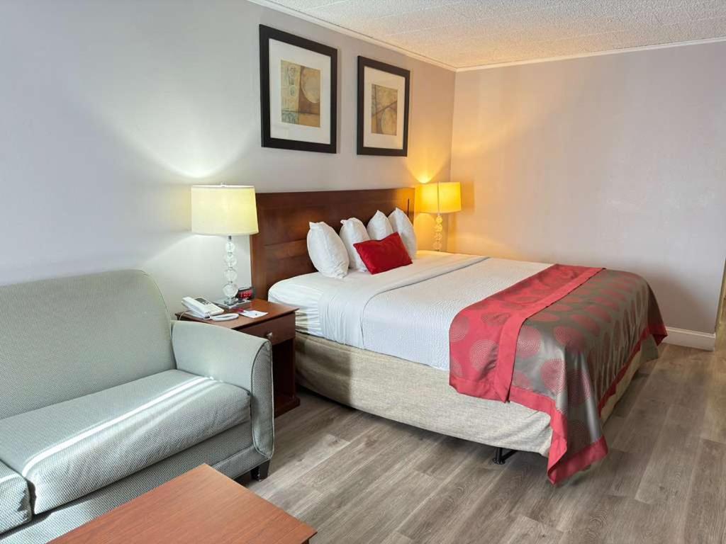 King Room - Pet Friendly/Non-Smoking - Photo 2
