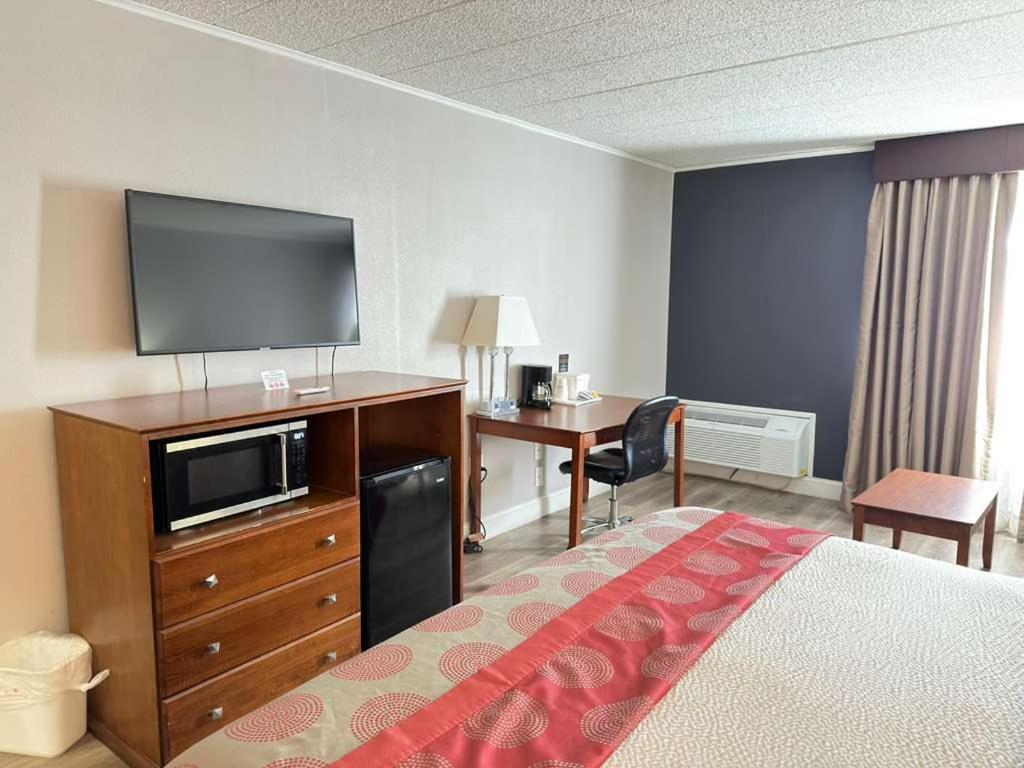 King Room - Pet Friendly/Non-Smoking - Photo 3