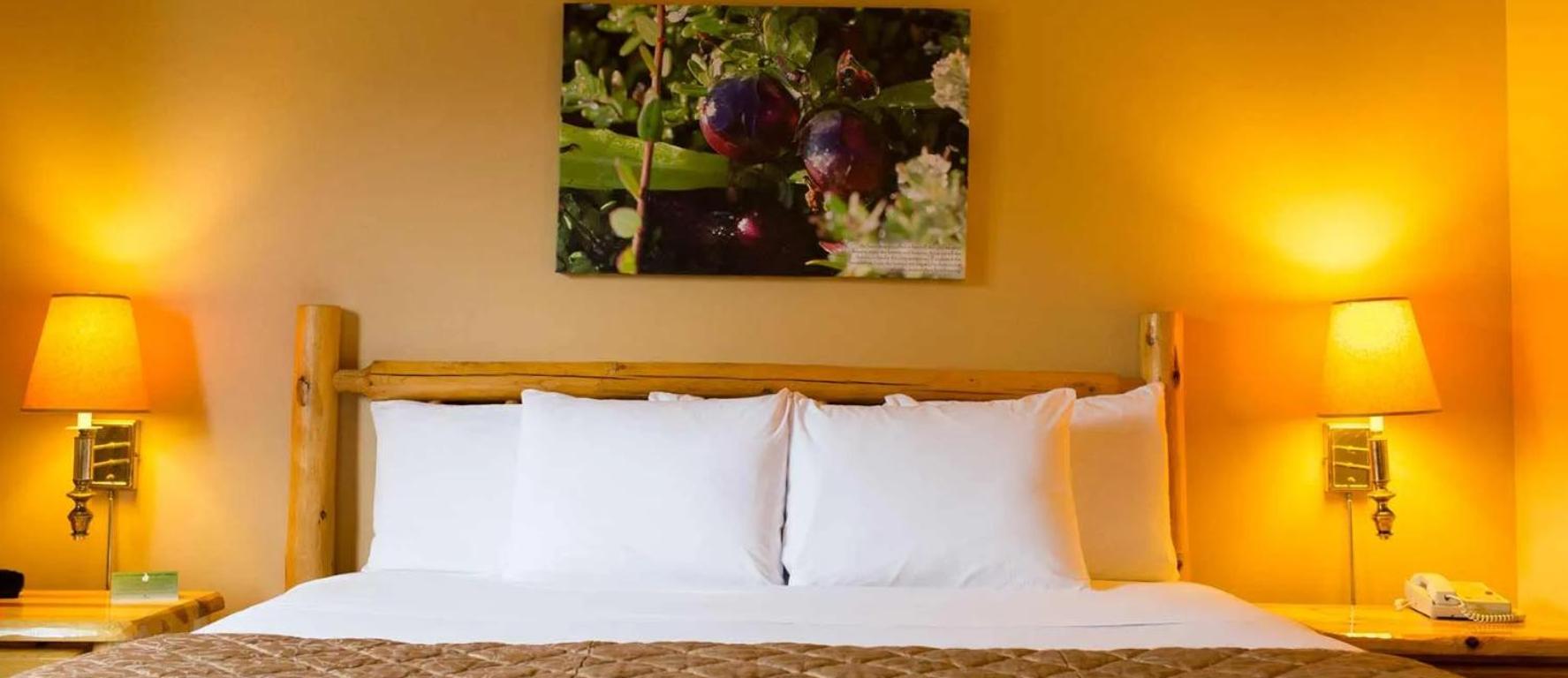 Deluxe King Suite photo 1