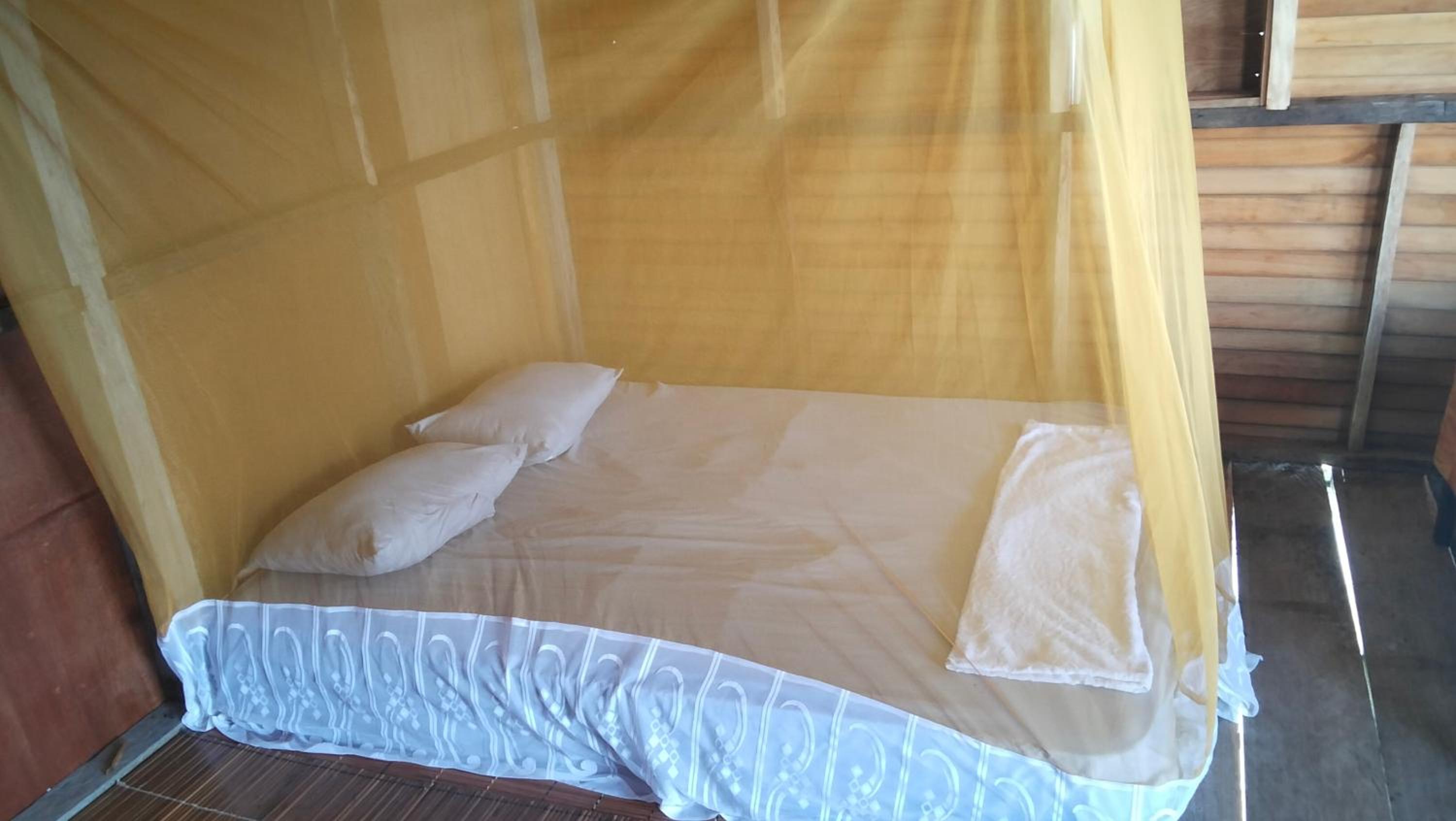 Single Room with Terrace photo 1