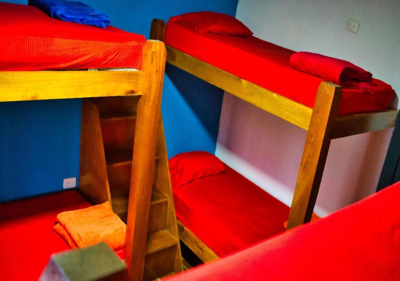 Bed in 6-Bed Dormitory Room