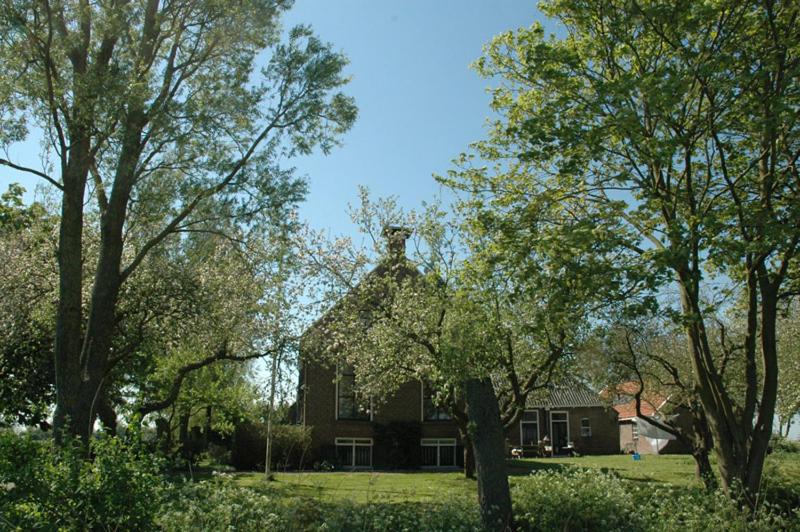 Deluxe Studio - Photo 17