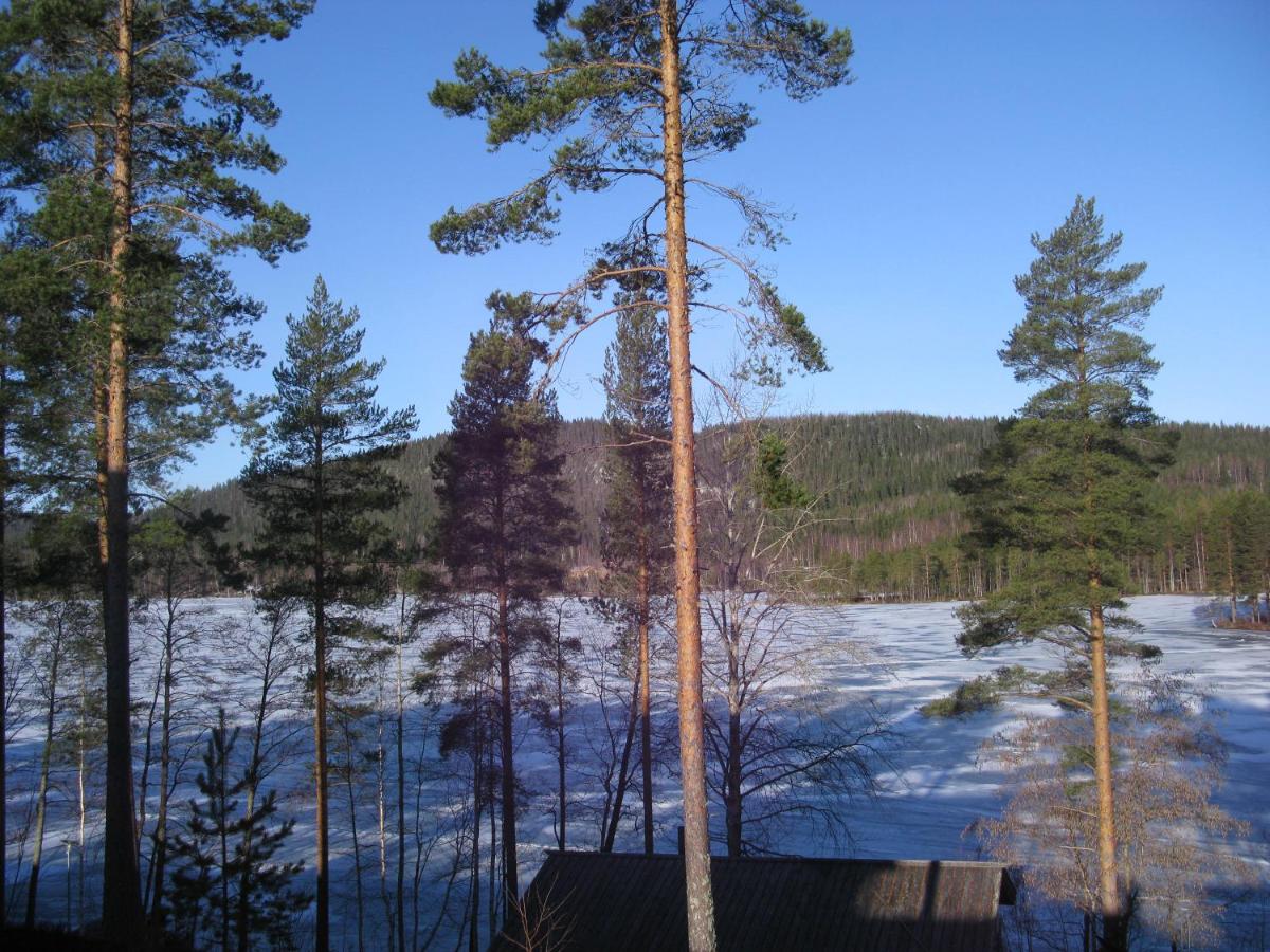Apartment with Lake View photo 3