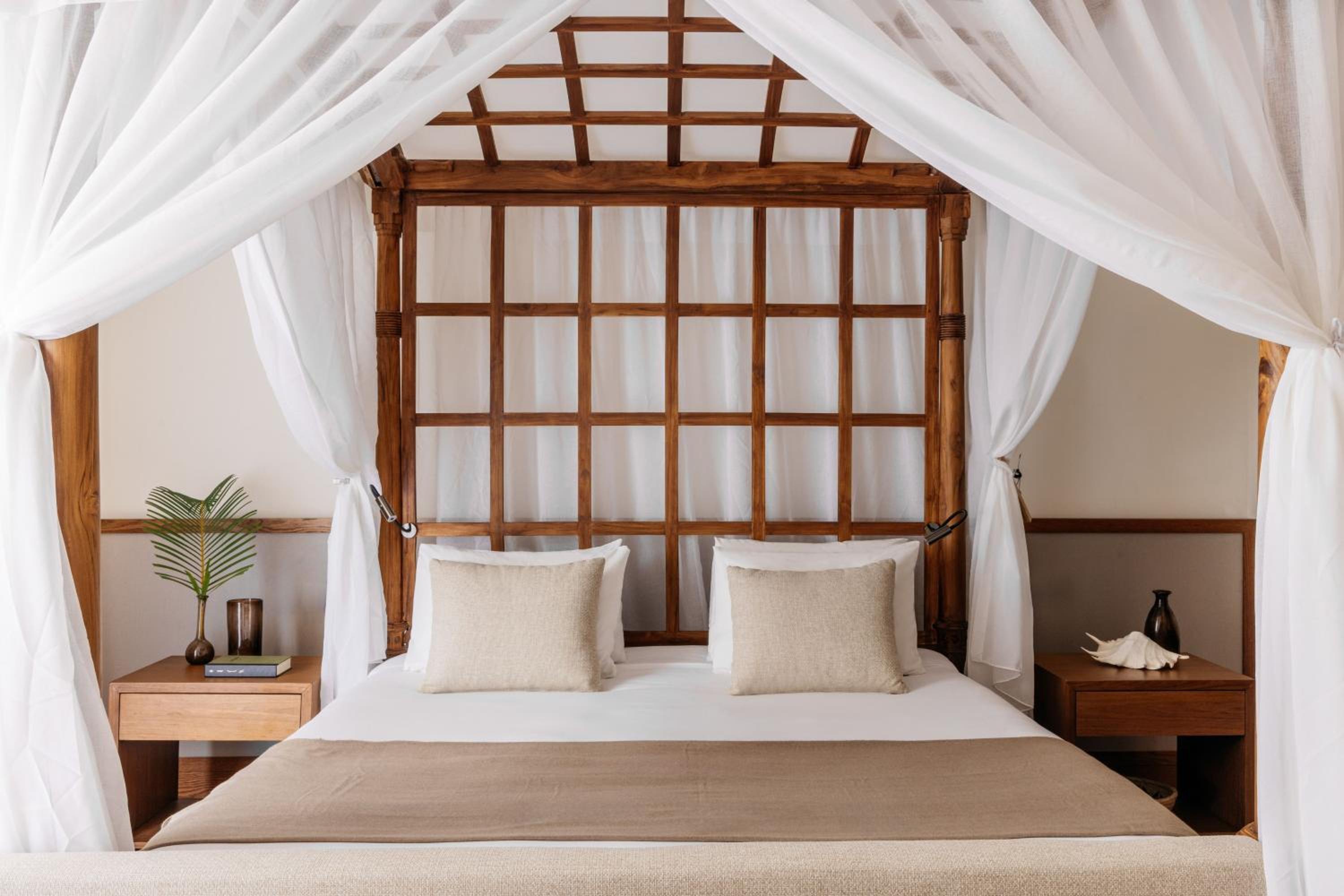 Premium Room with Terrace - Photo 1