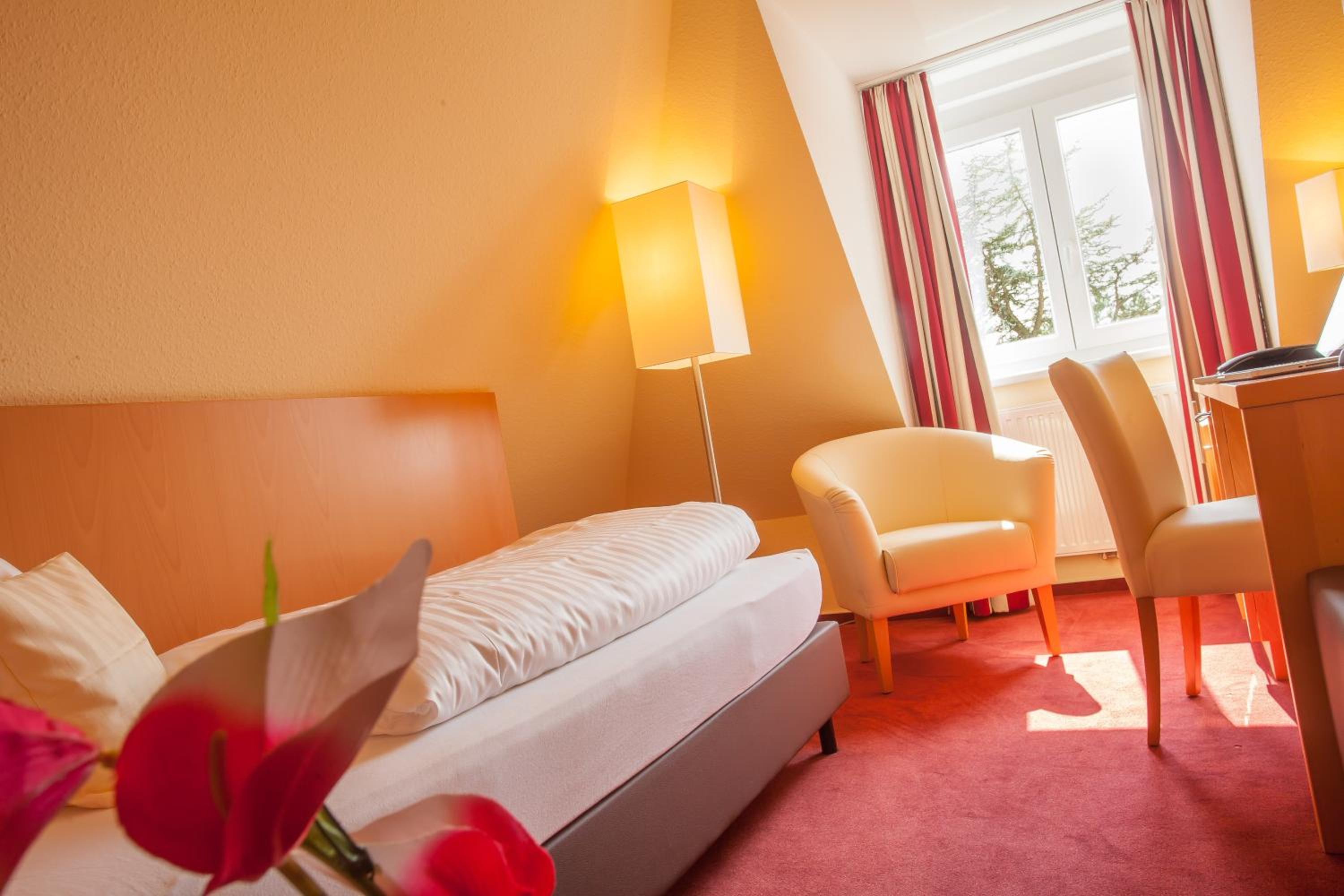 Single Room photo 1