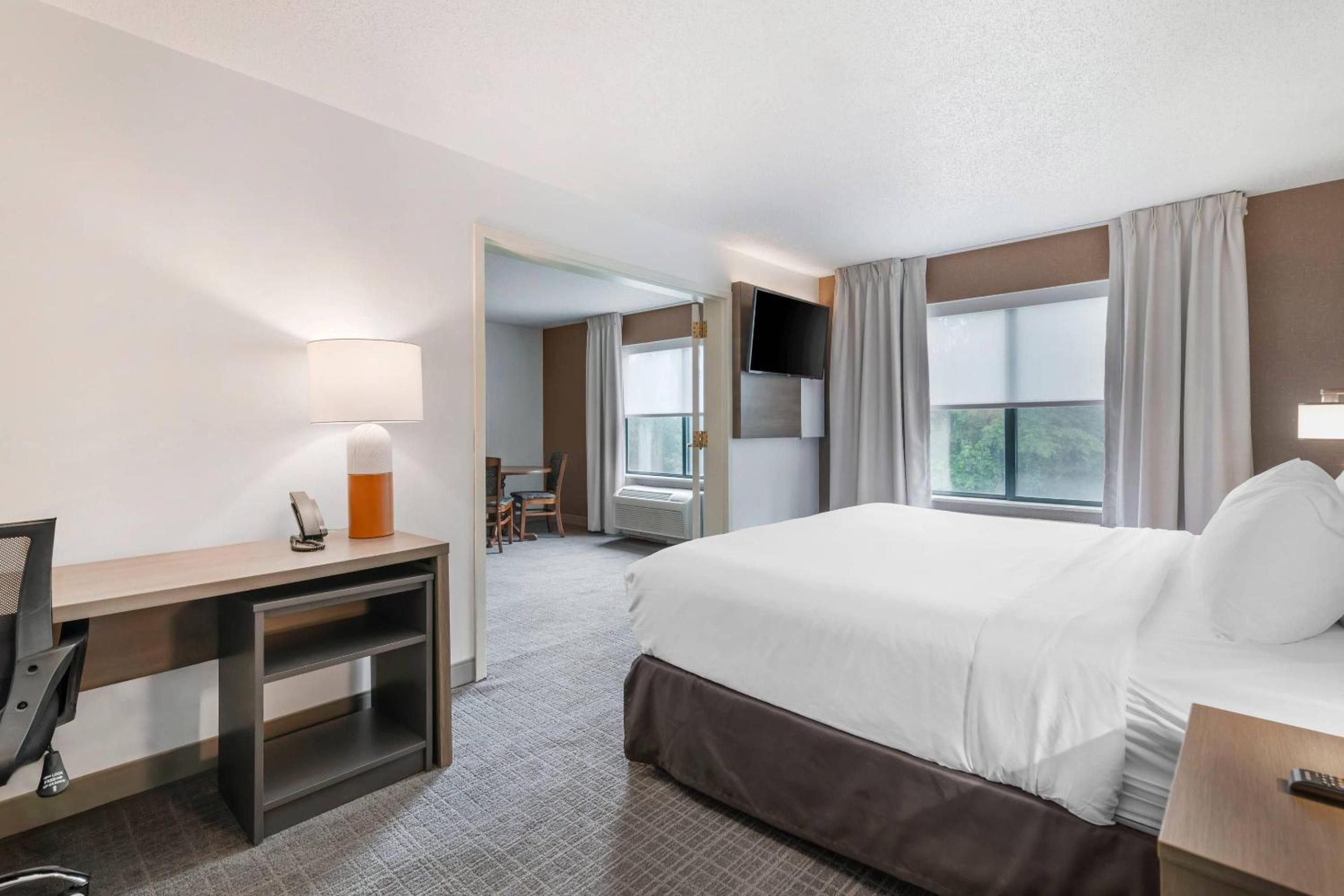 King Suite with Sofa Bed - Non-Smoking		 - Photo 3
