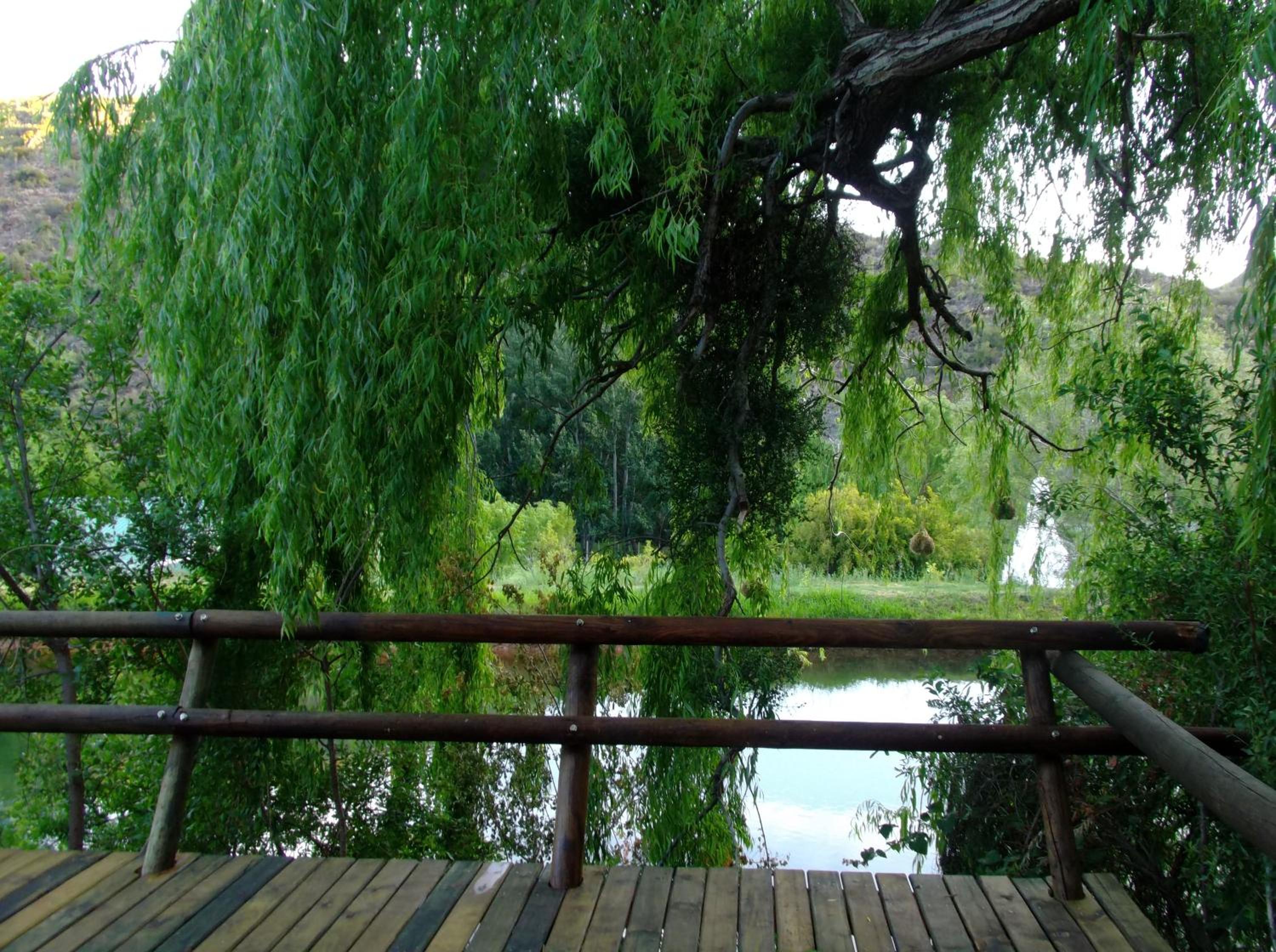 Chalet - Waterfront - Photo 8
