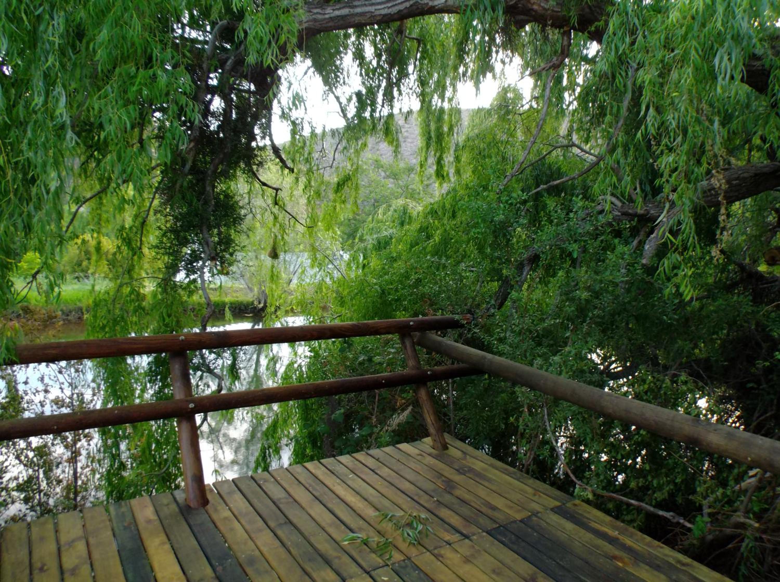 Chalet - Waterfront - Photo 16
