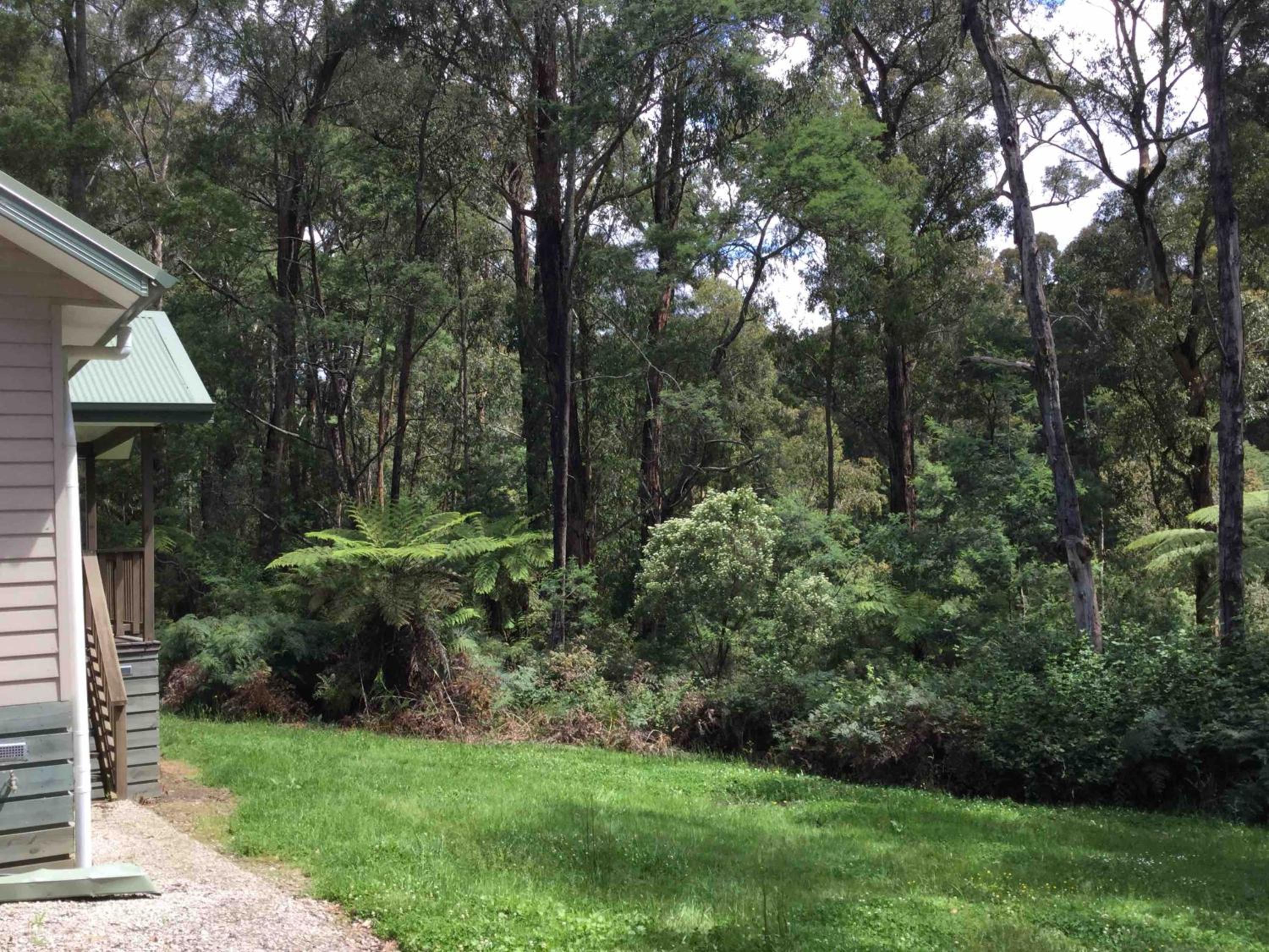 Self-Contained Cottage with Spa Bath - Forestview Cottage - Photo 3
