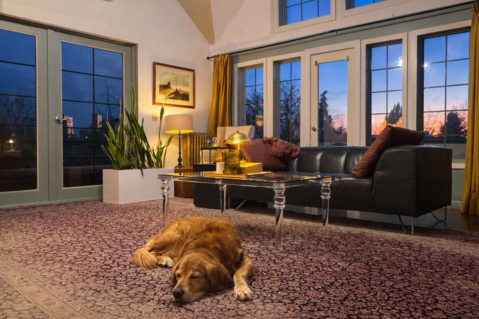 Penthouse Apartment photo 3