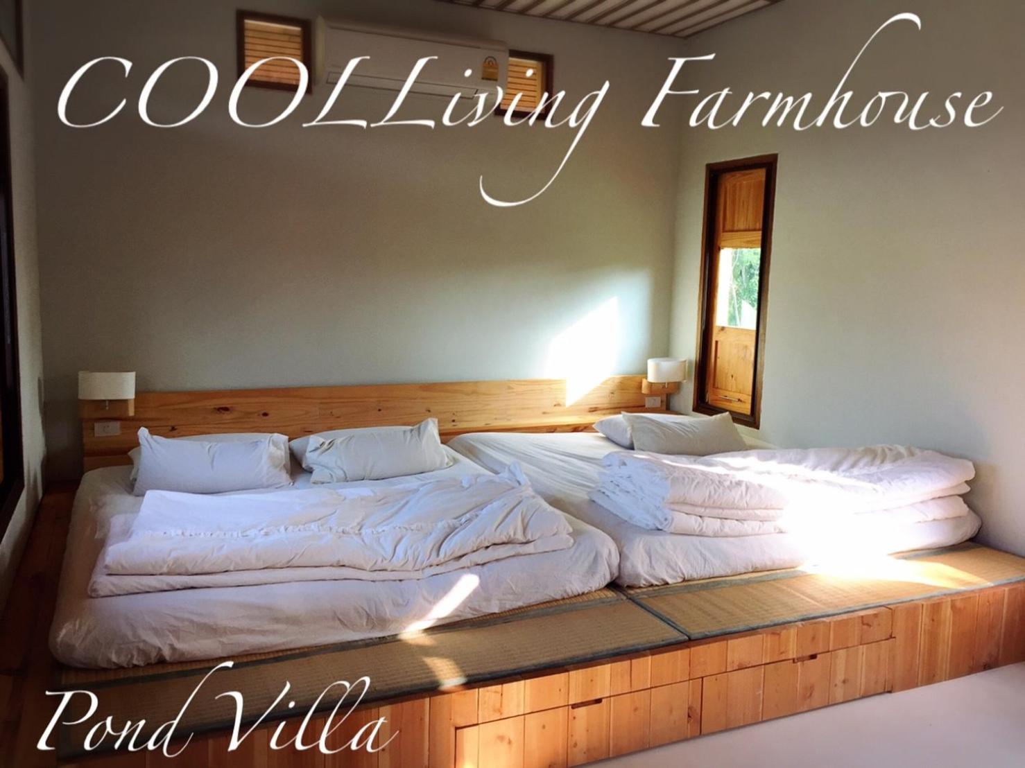 Villa - Photo 9