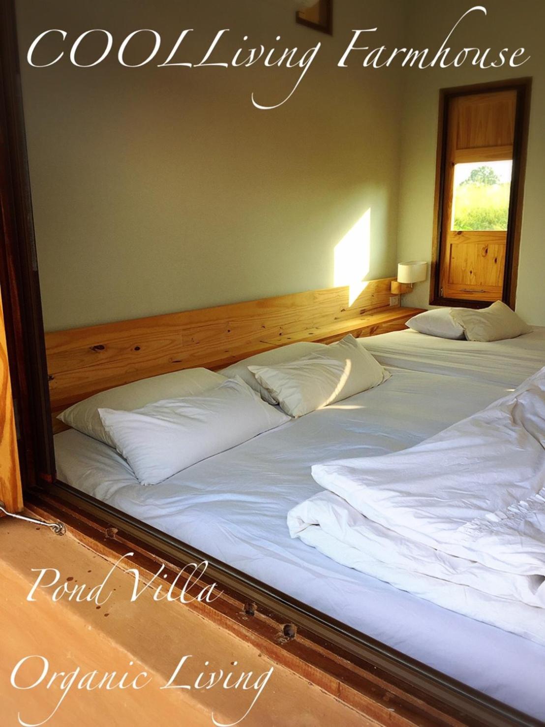 Villa - Photo 10
