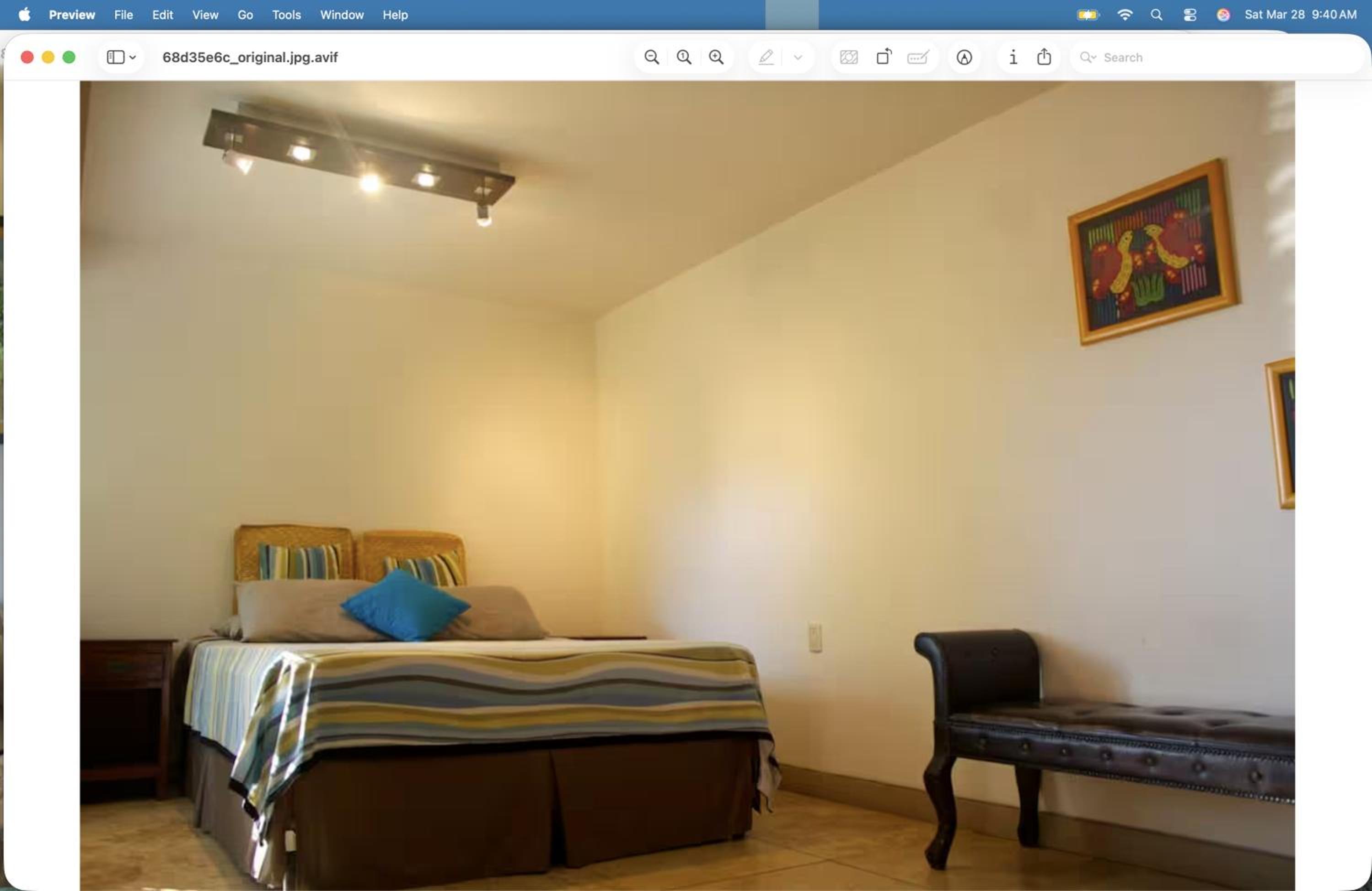 Standard Single Room photo 2