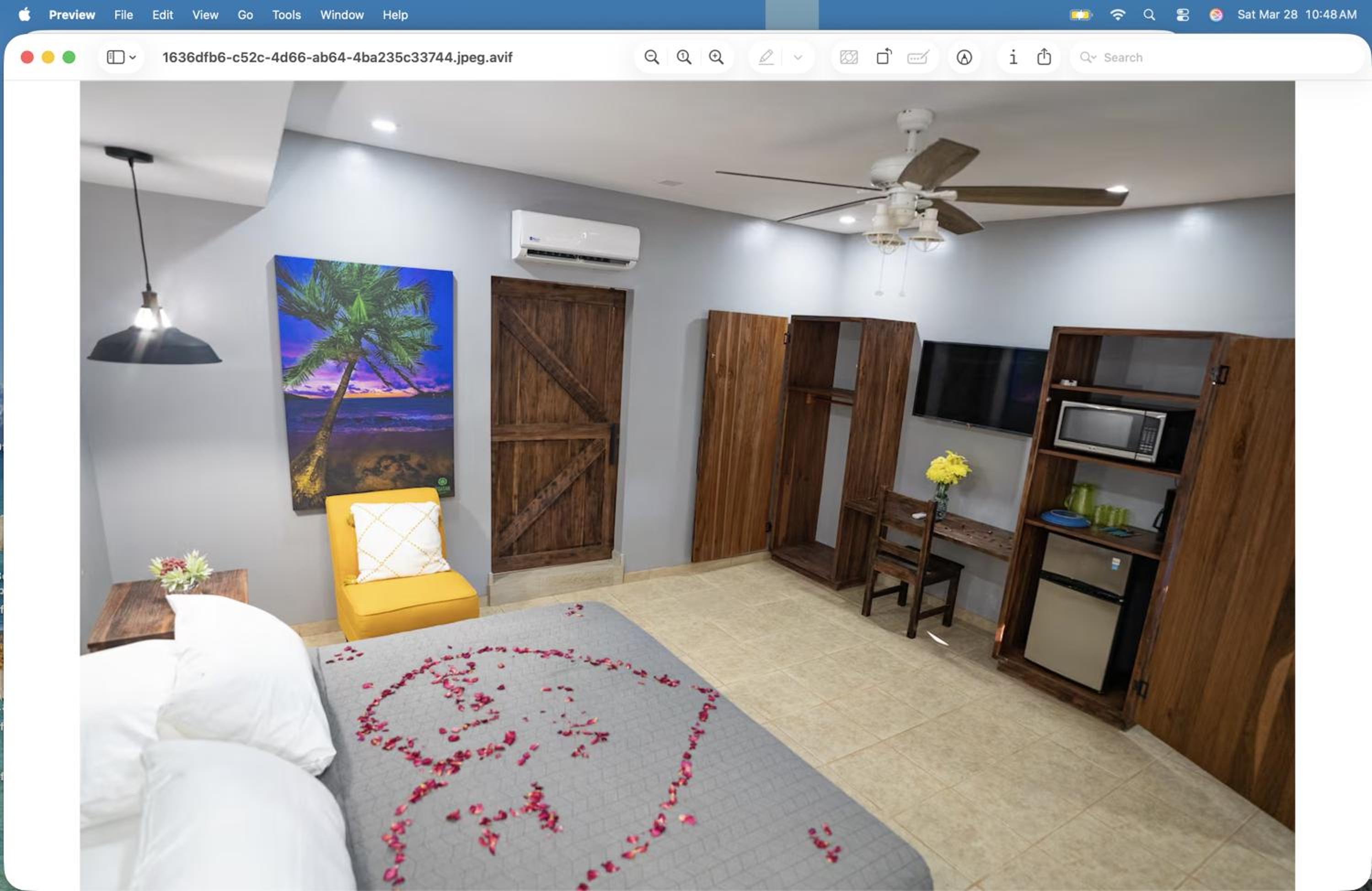 King Suite photo 1