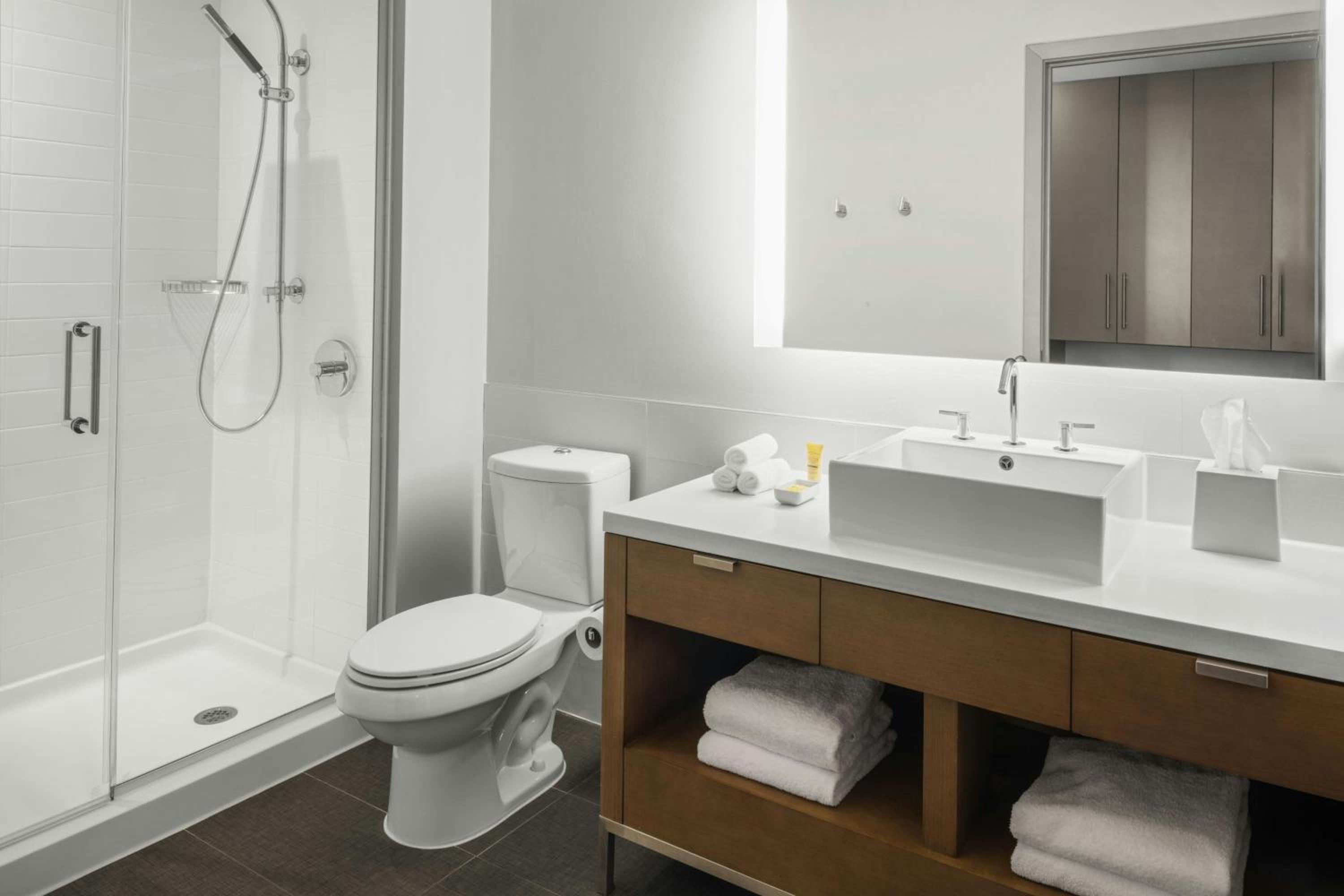 King Studio with Sofa Bed and Roll-in Shower - Mobility and Hearing Accessible