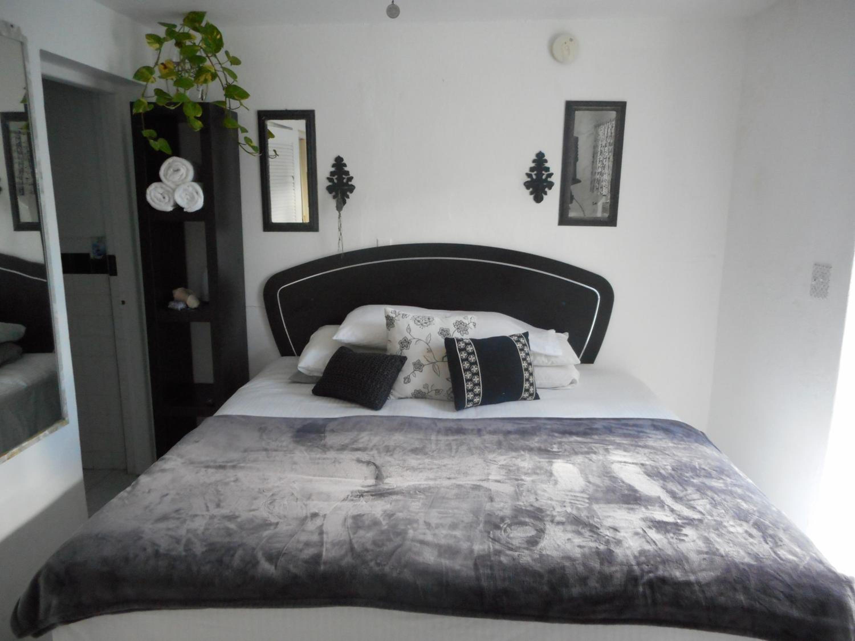Studio with Sofa Bed photo 3