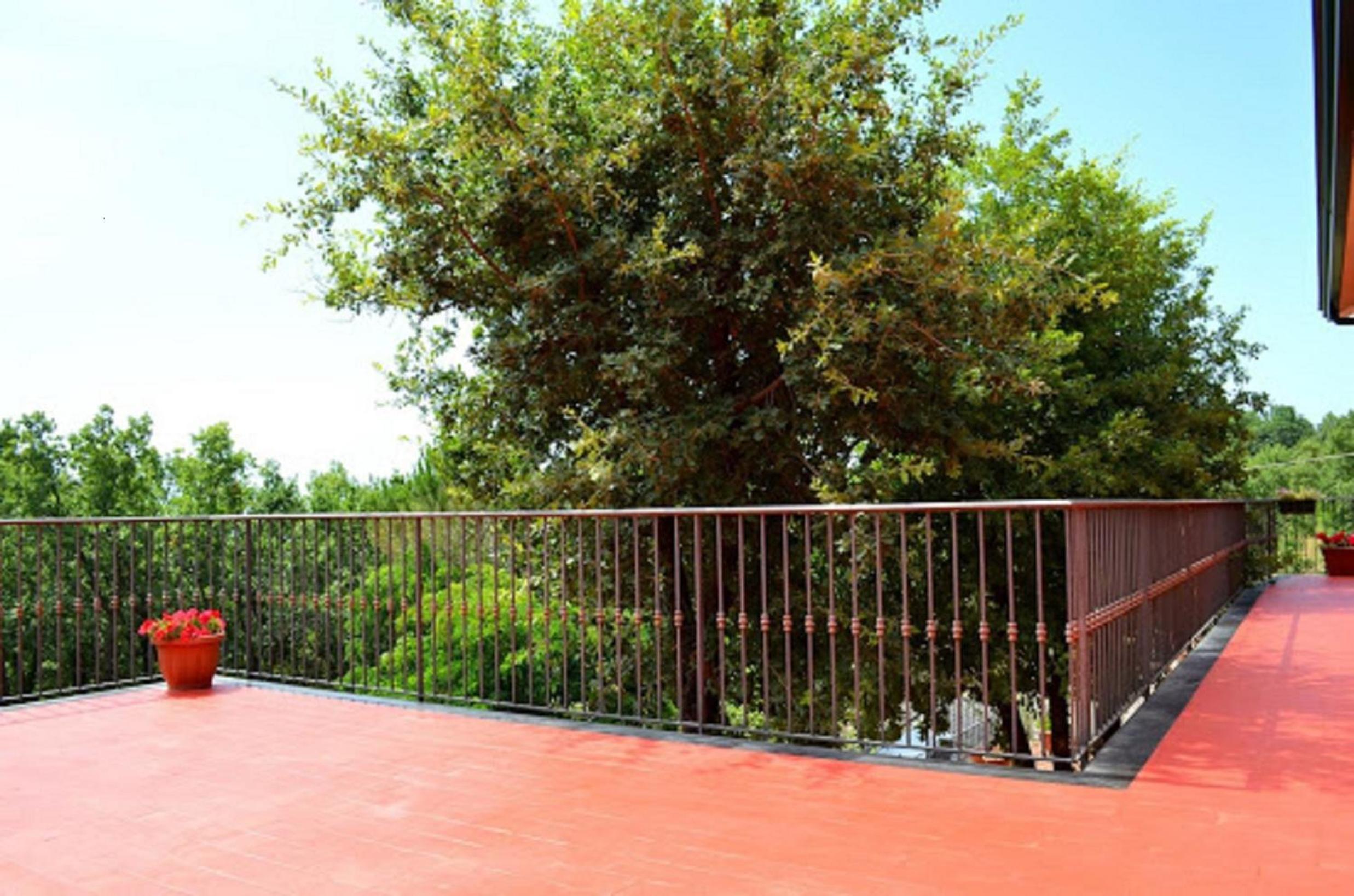 King Room with Garden View photo 3