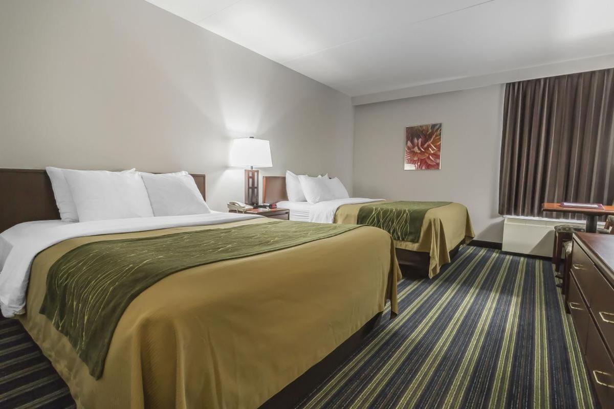 Queen Room with Two Queen Beds - Ground Floor - Photo 1