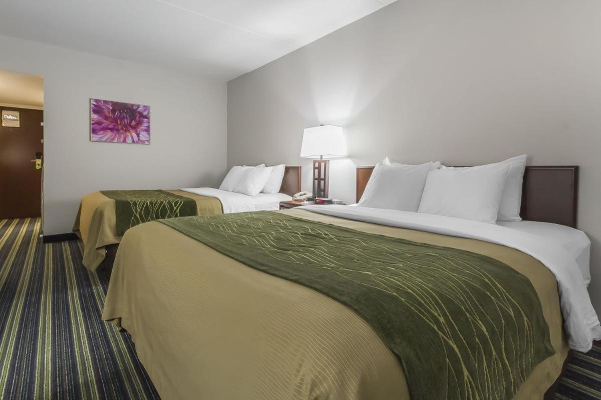 Queen Room with Two Queen Beds - Ground Floor - Photo 2