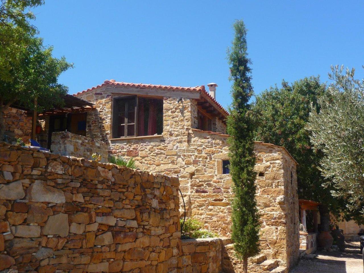 Three-Bedroom House photo 3