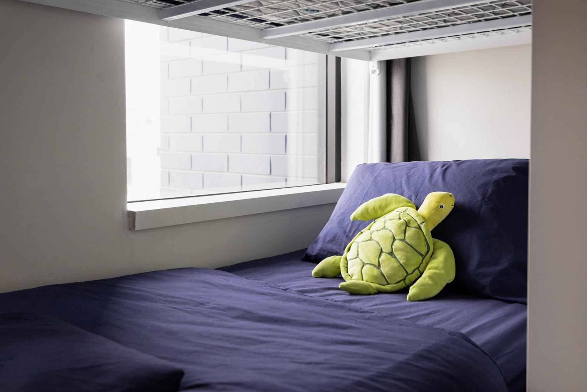 4 Bed Female Dorm photo 2