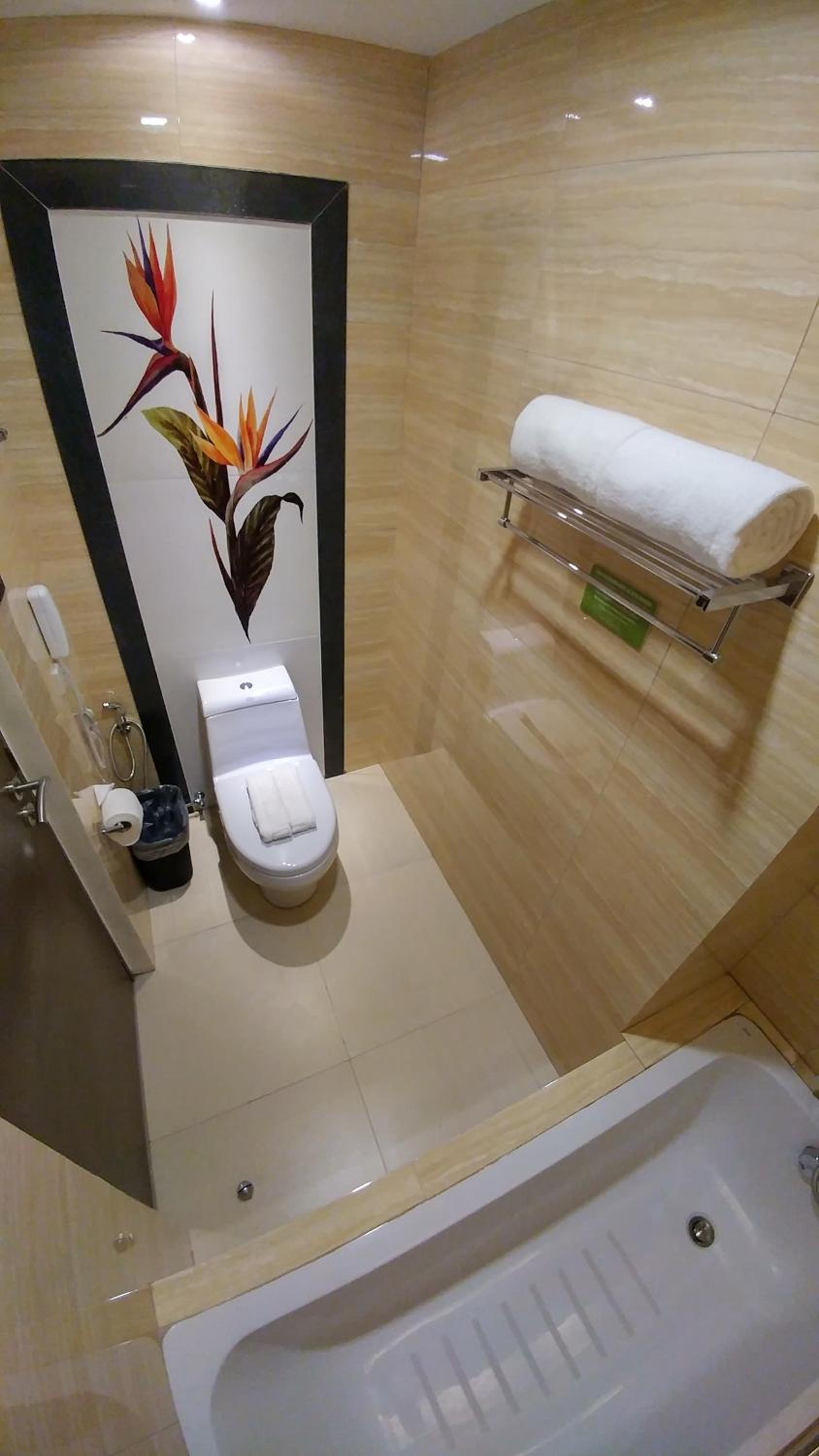 Premier Room photo 2