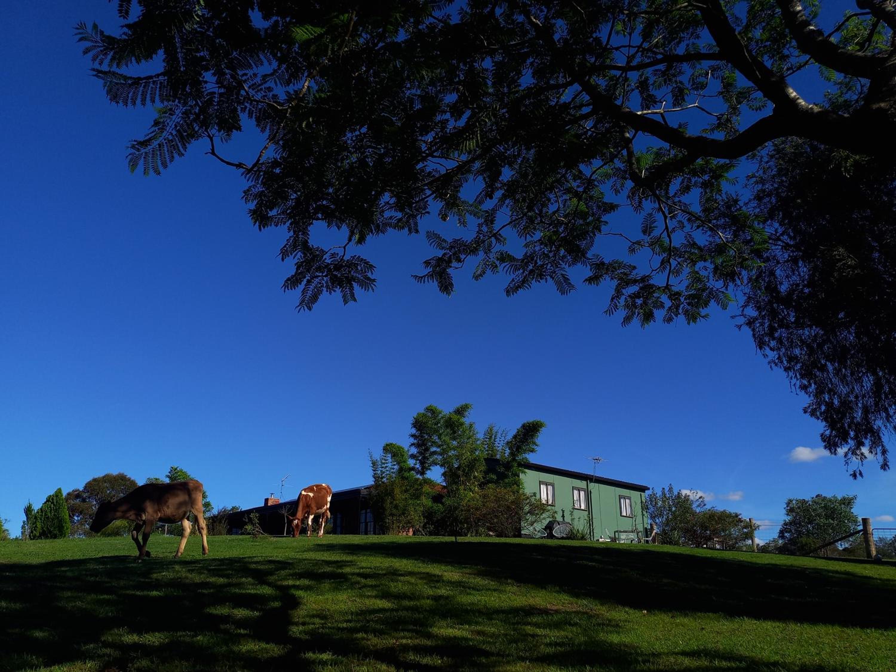 Vacation Home photo 3