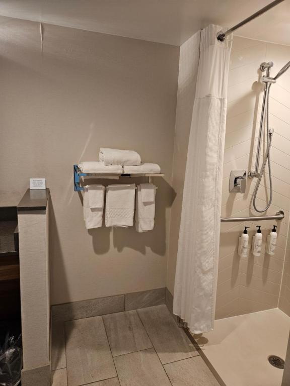 King Suite with Sofa Bed and Roll-in Shower - Mobility and Hearing Accessible - Photo 2