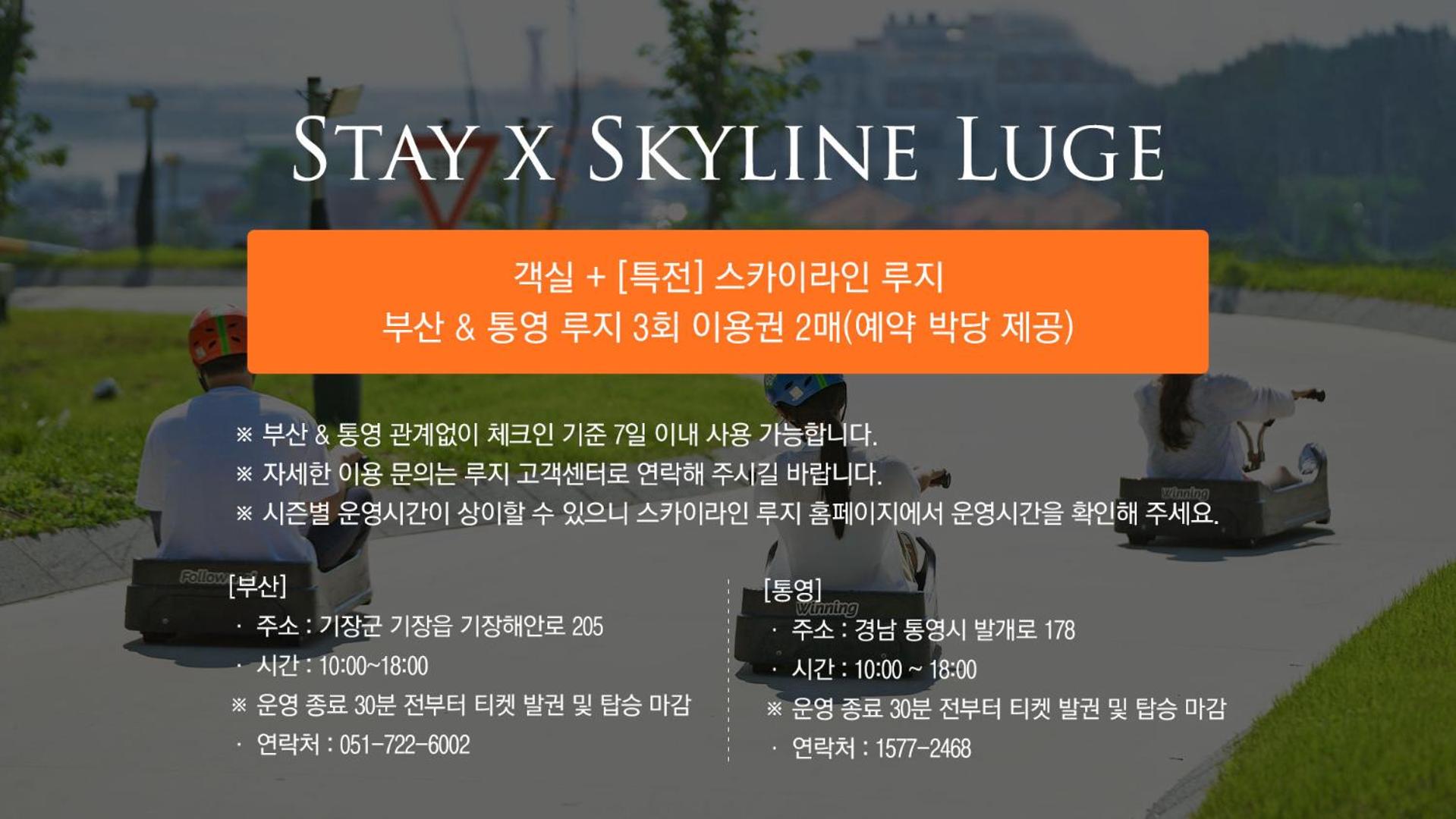 [Luge Package for 2] Deluxe Double City View