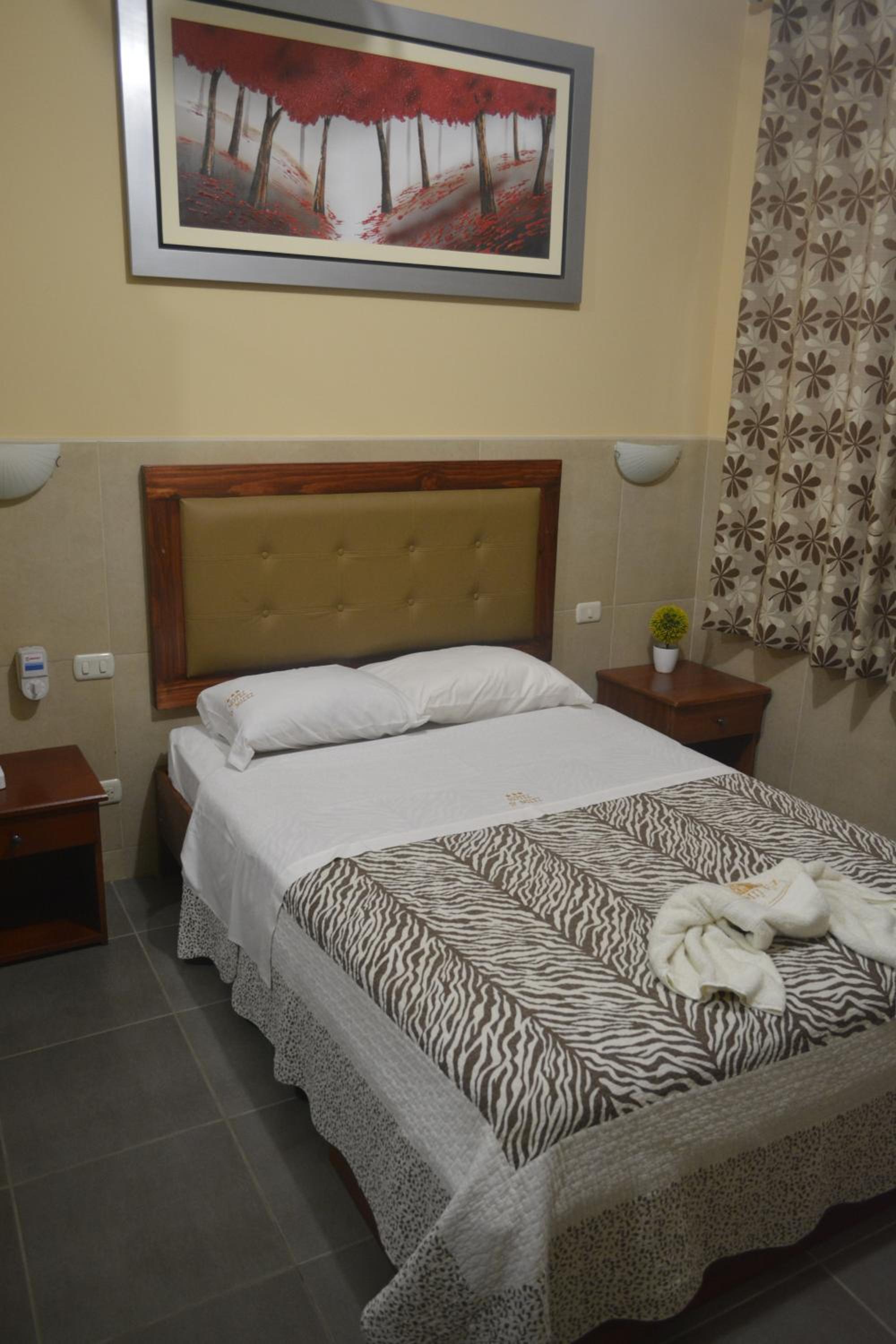 Deluxe Single Room photo 2