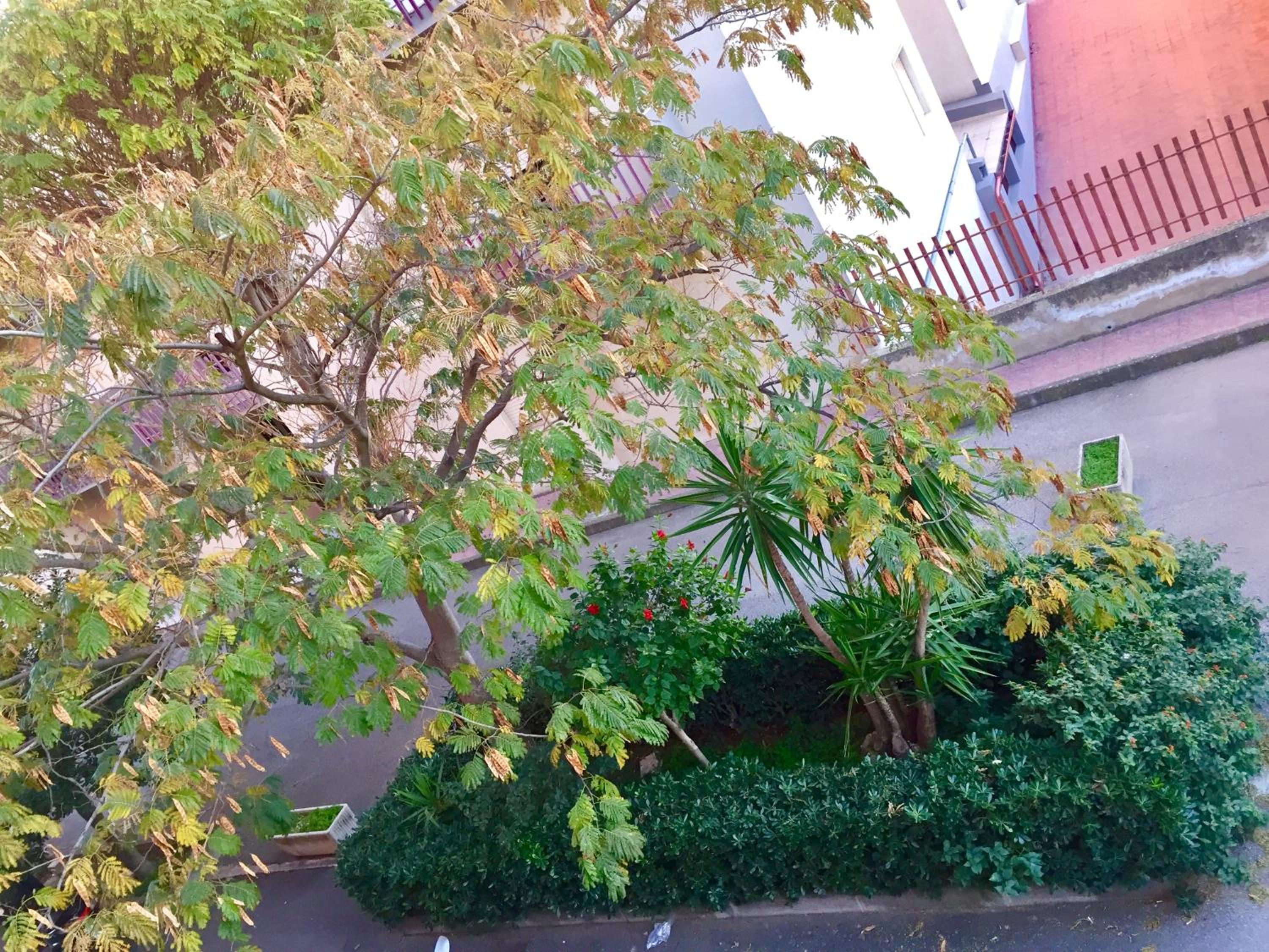 Apartment with Garden View photo 2