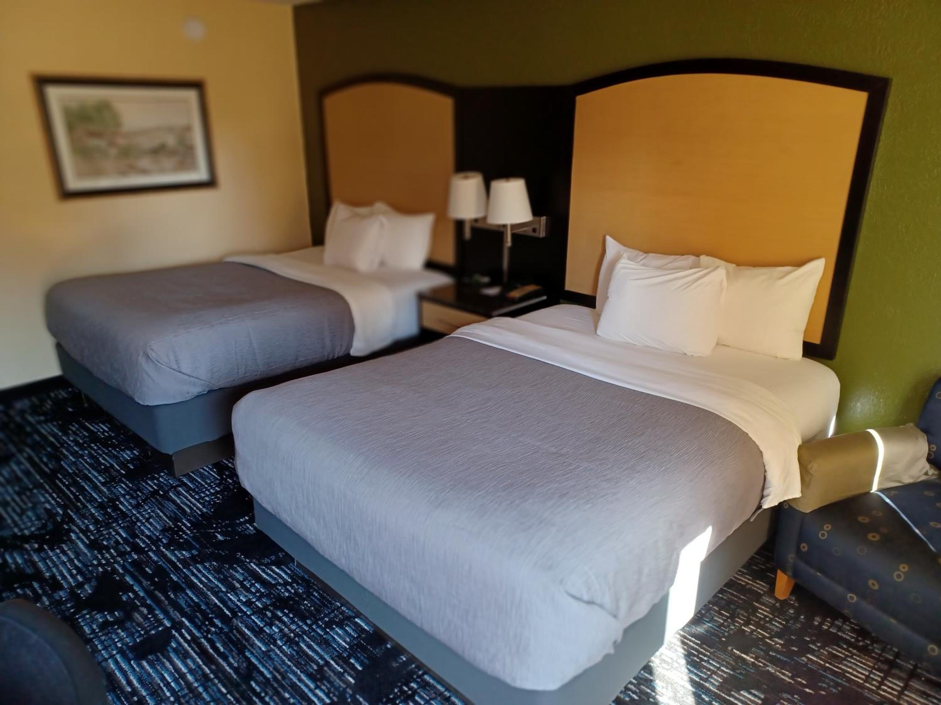 Queen Beds - Non-Smoking/Pet-Friendly  photo 2