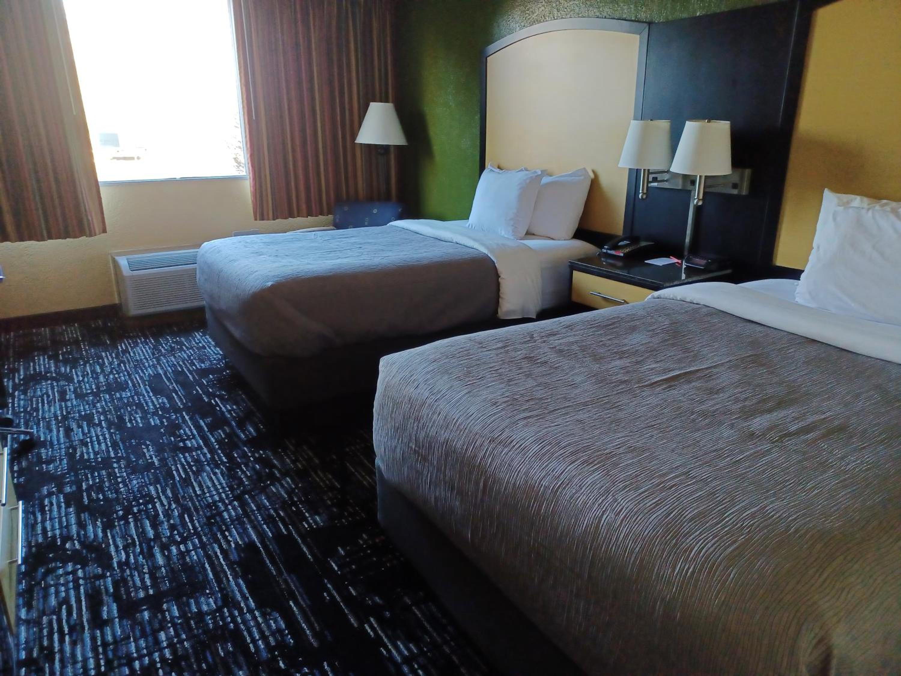 Queen Beds - Non-Smoking/Pet-Friendly  photo 3