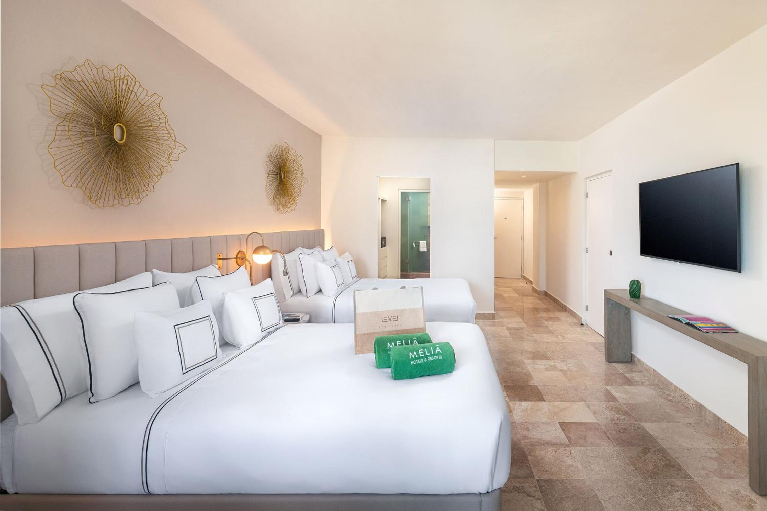 The Level Room Ocean View with Balcony