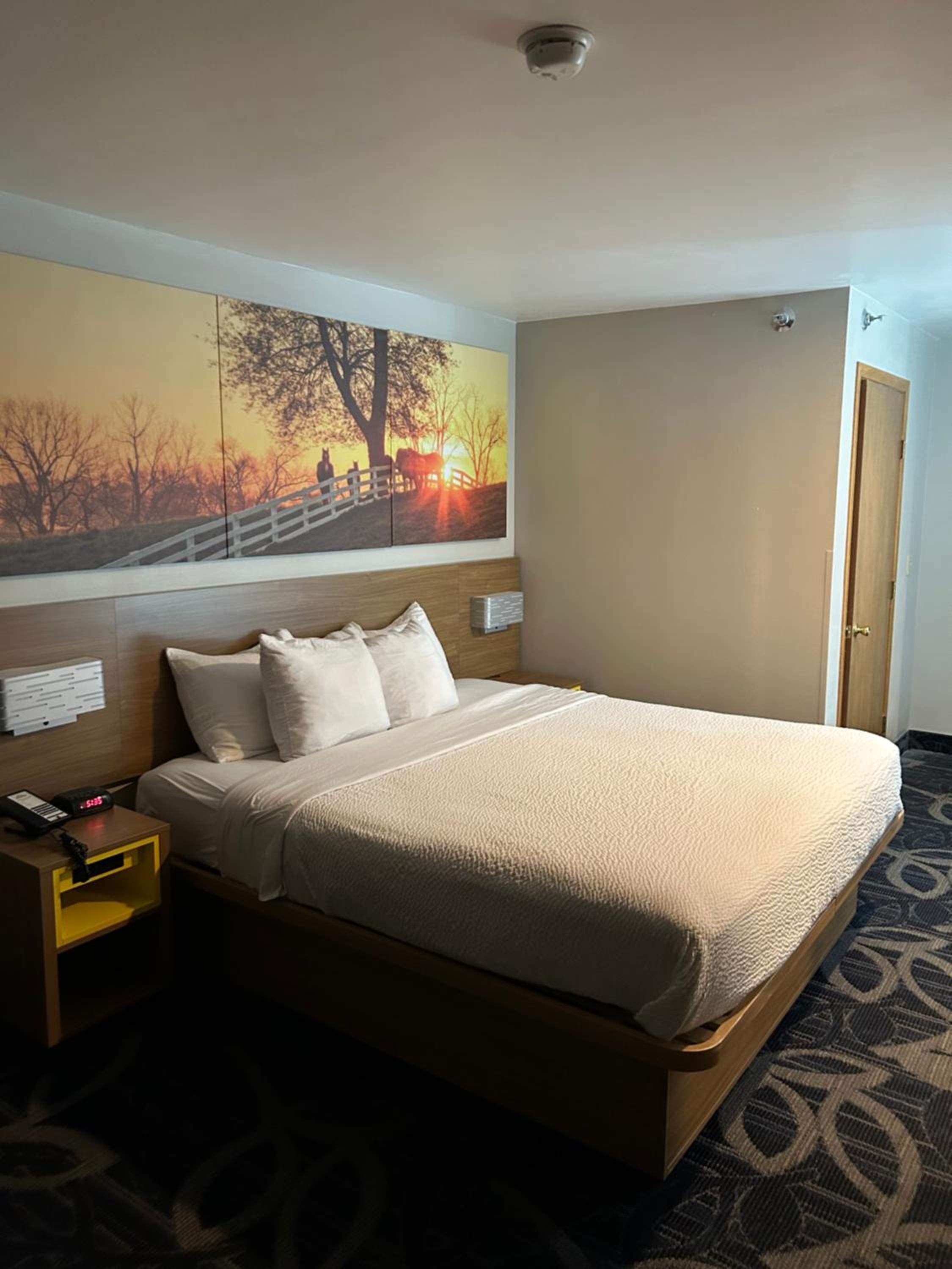King Suite - Non-Smoking - Photo 2