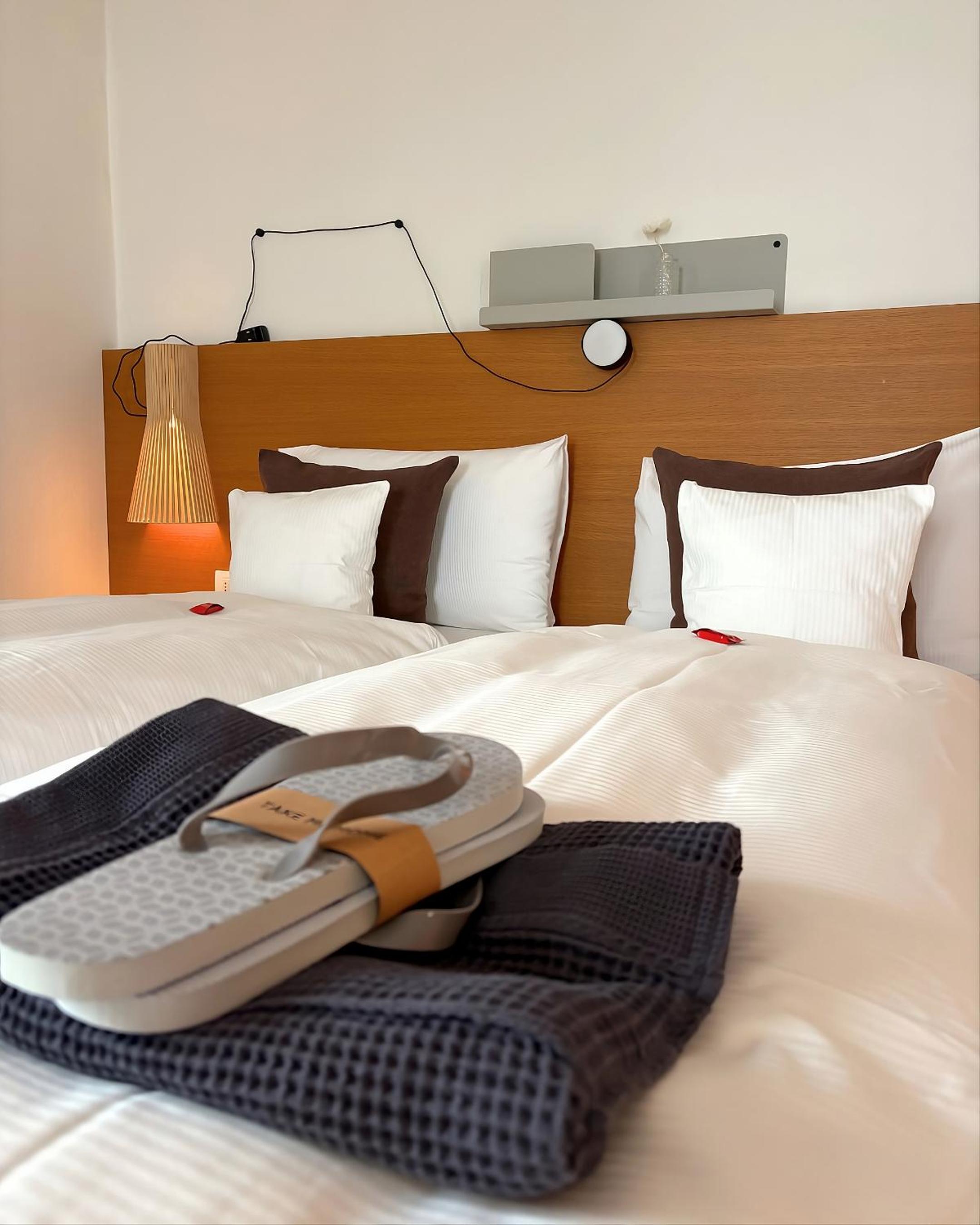 Superior Double or Twin Room with Mountain View photo 3