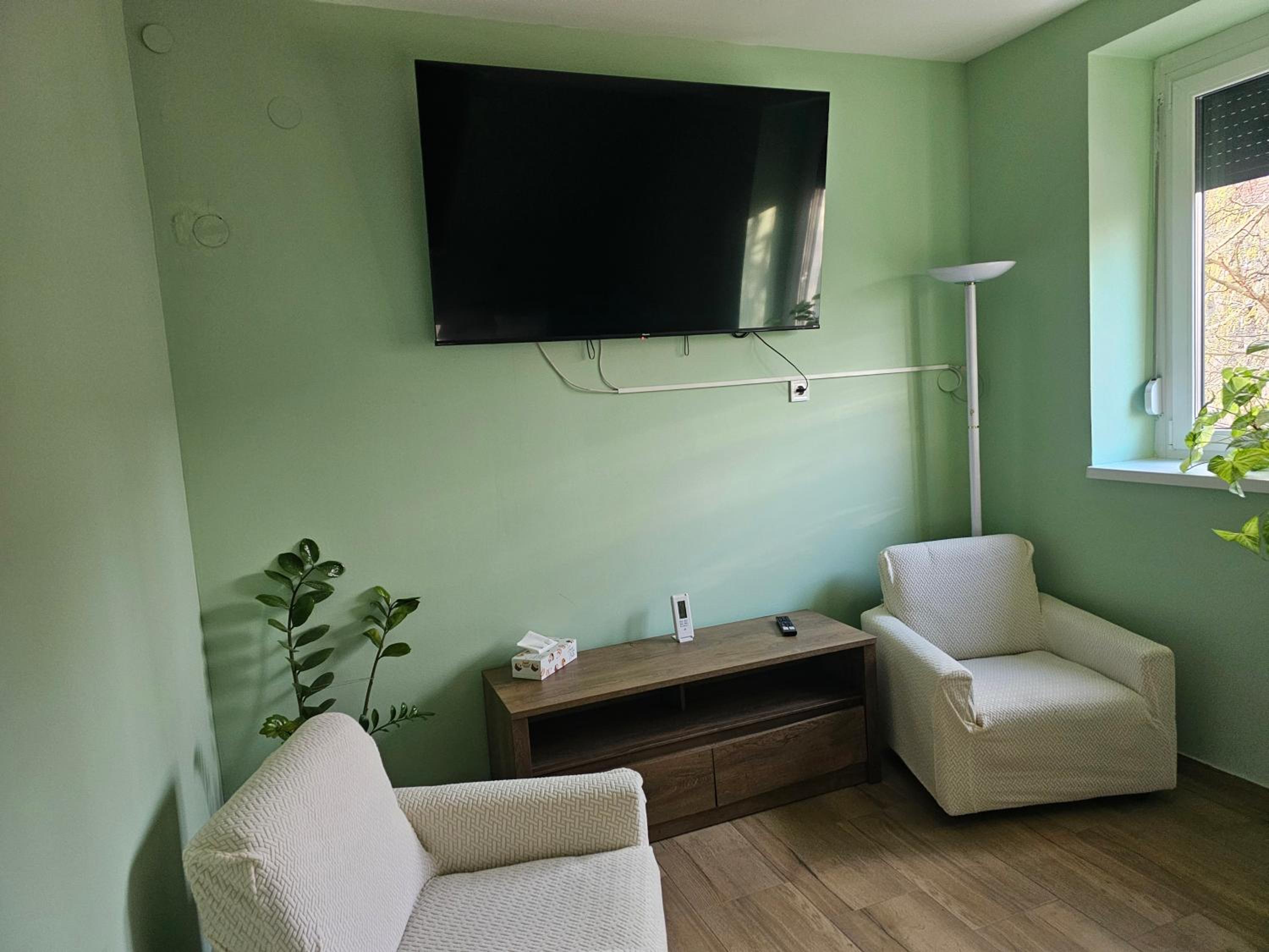 Standard Family Room photo 3