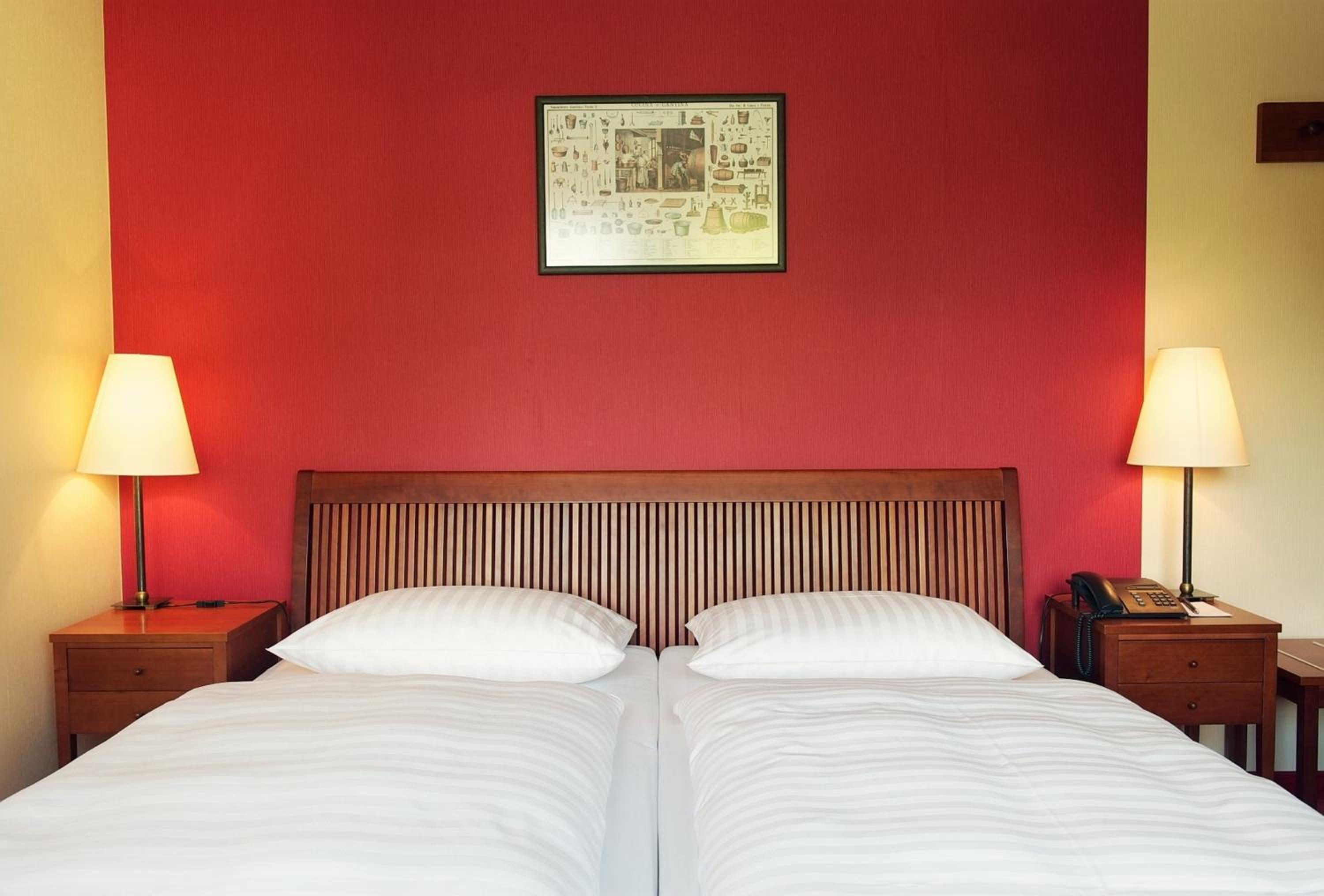 Single Room photo 1