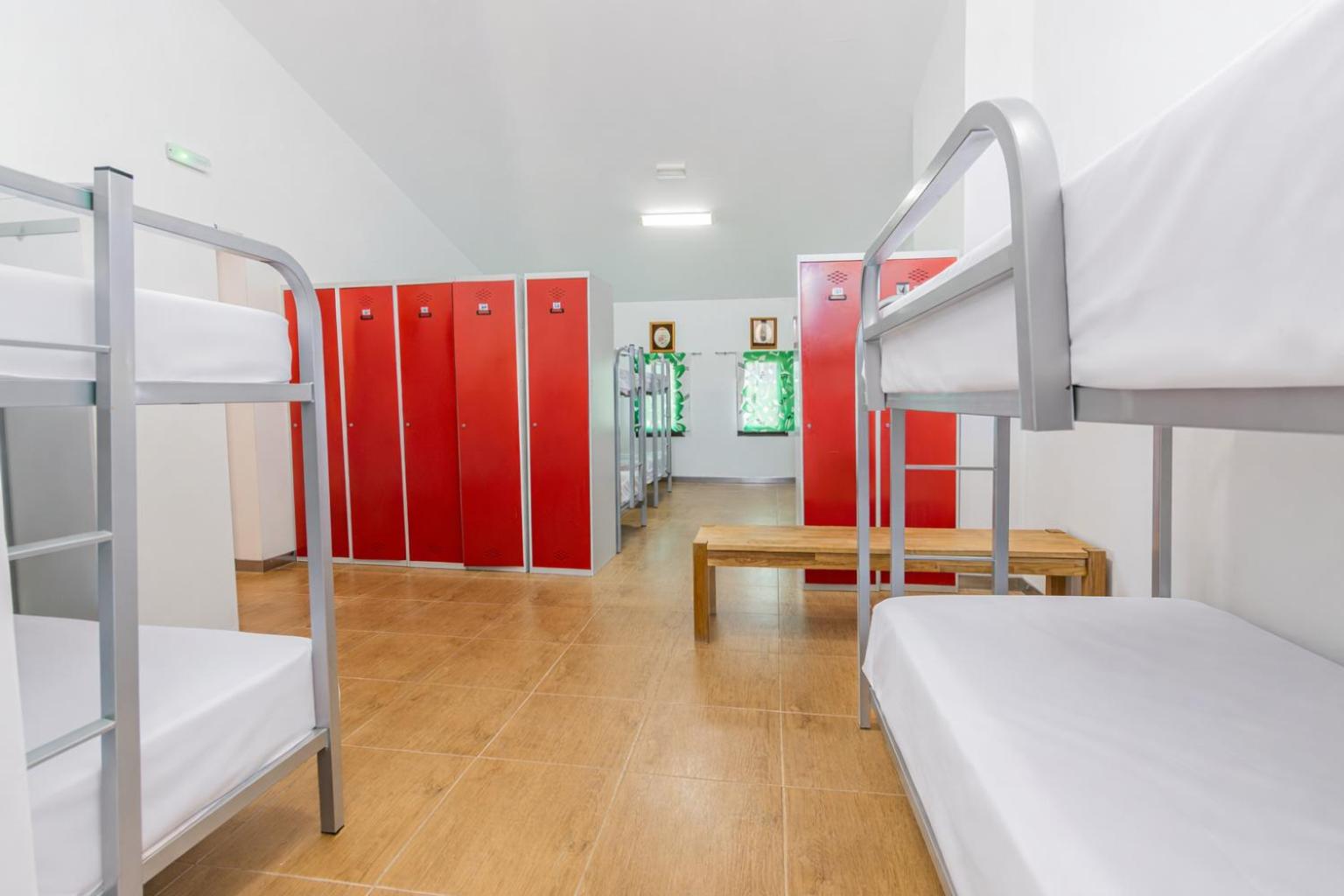 Bunk Bed in Mixed Dormitory Room photo 2