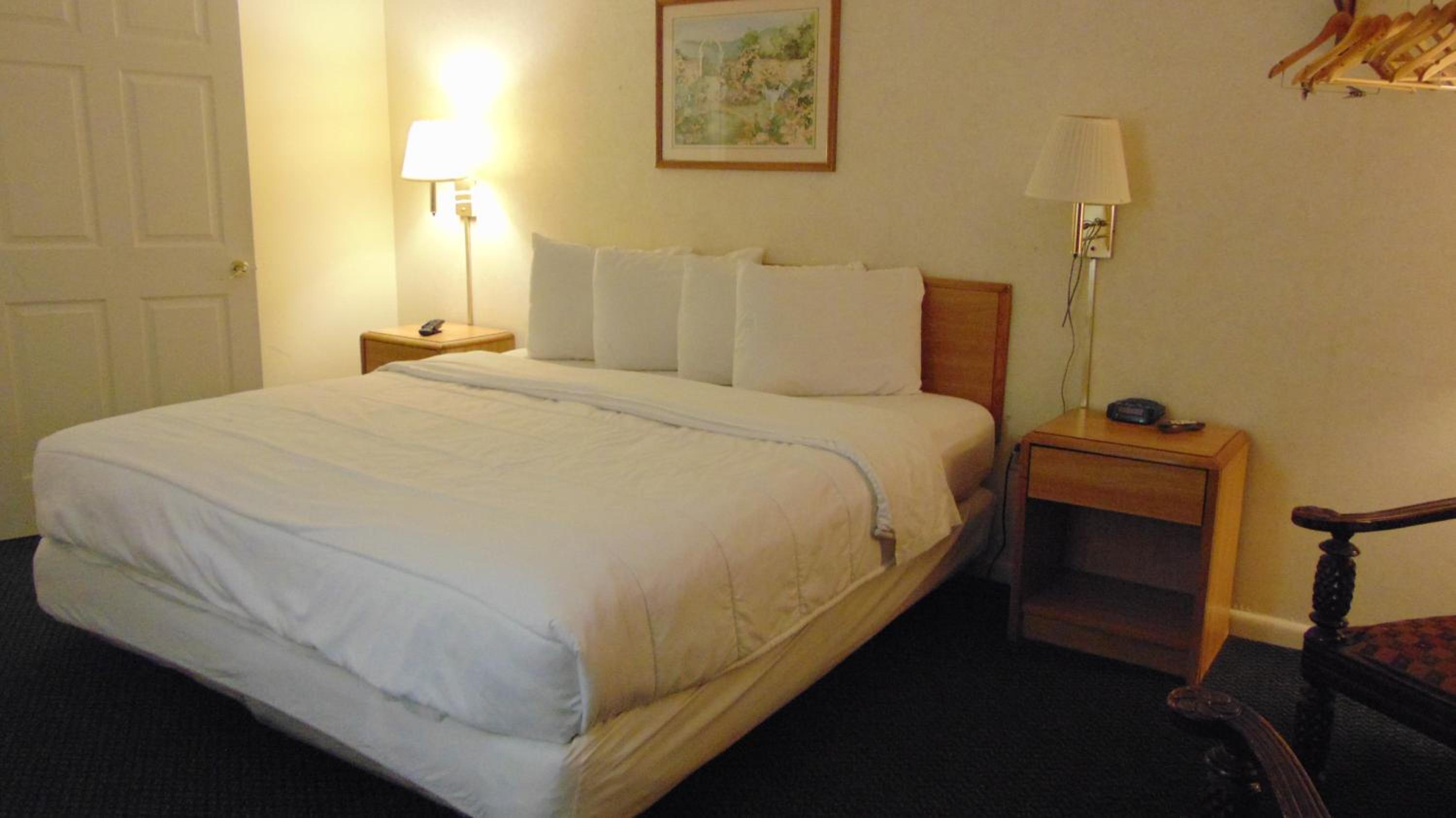 King Room - Disability Access photo 1