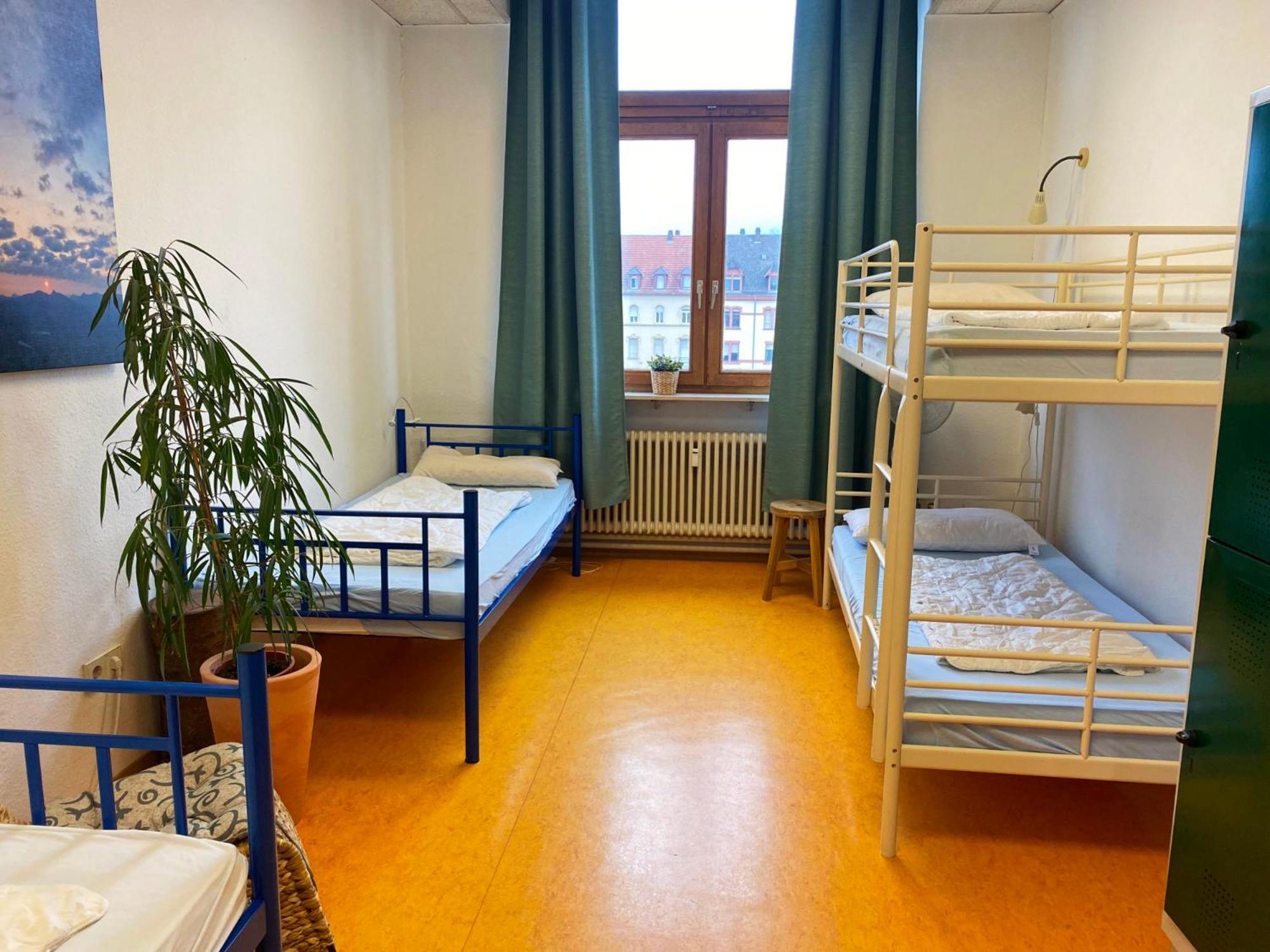 Bed in 4-Bed Mixed Dormitory Room photo 3