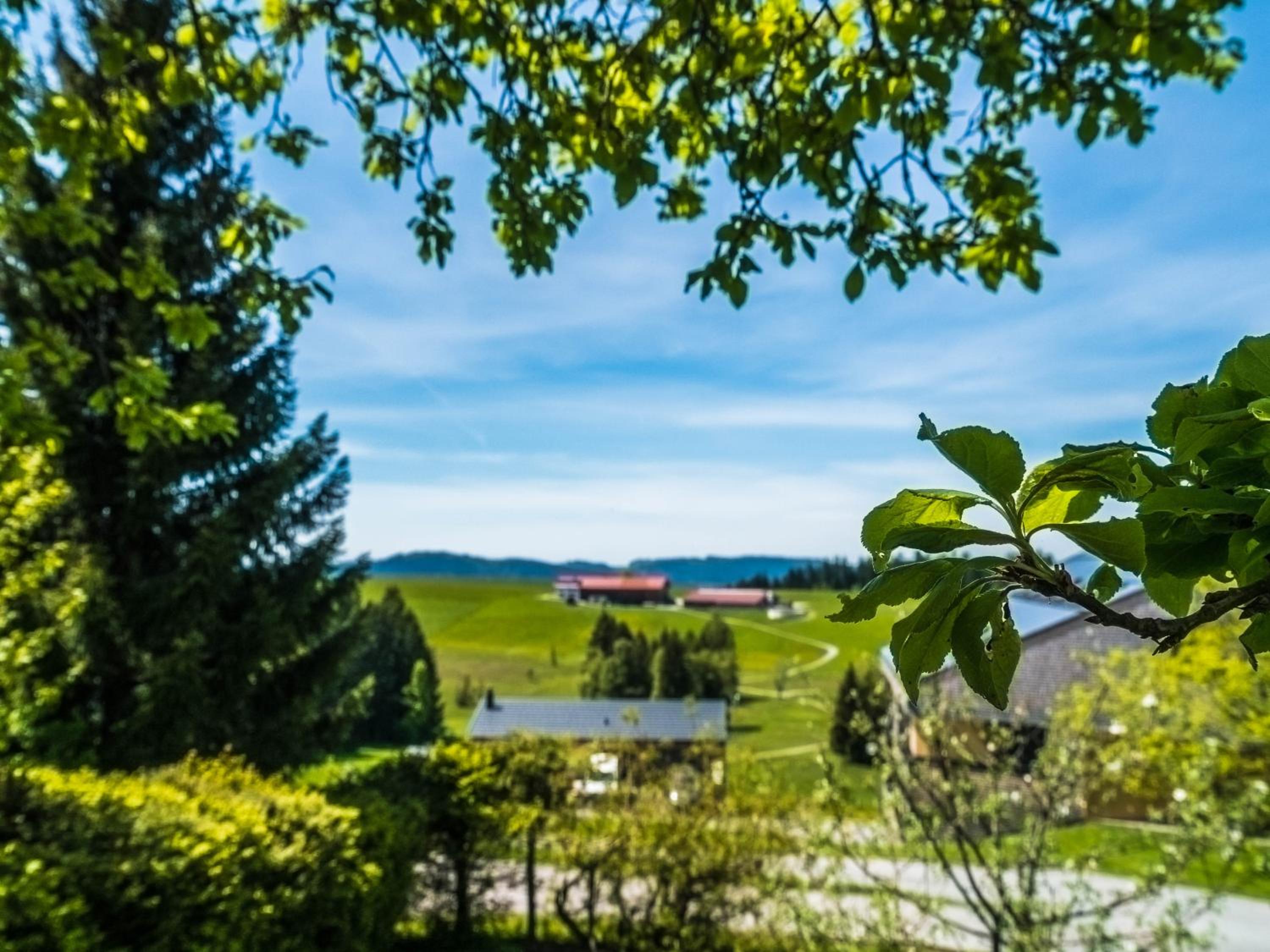 Apartment with Garden View photo 2