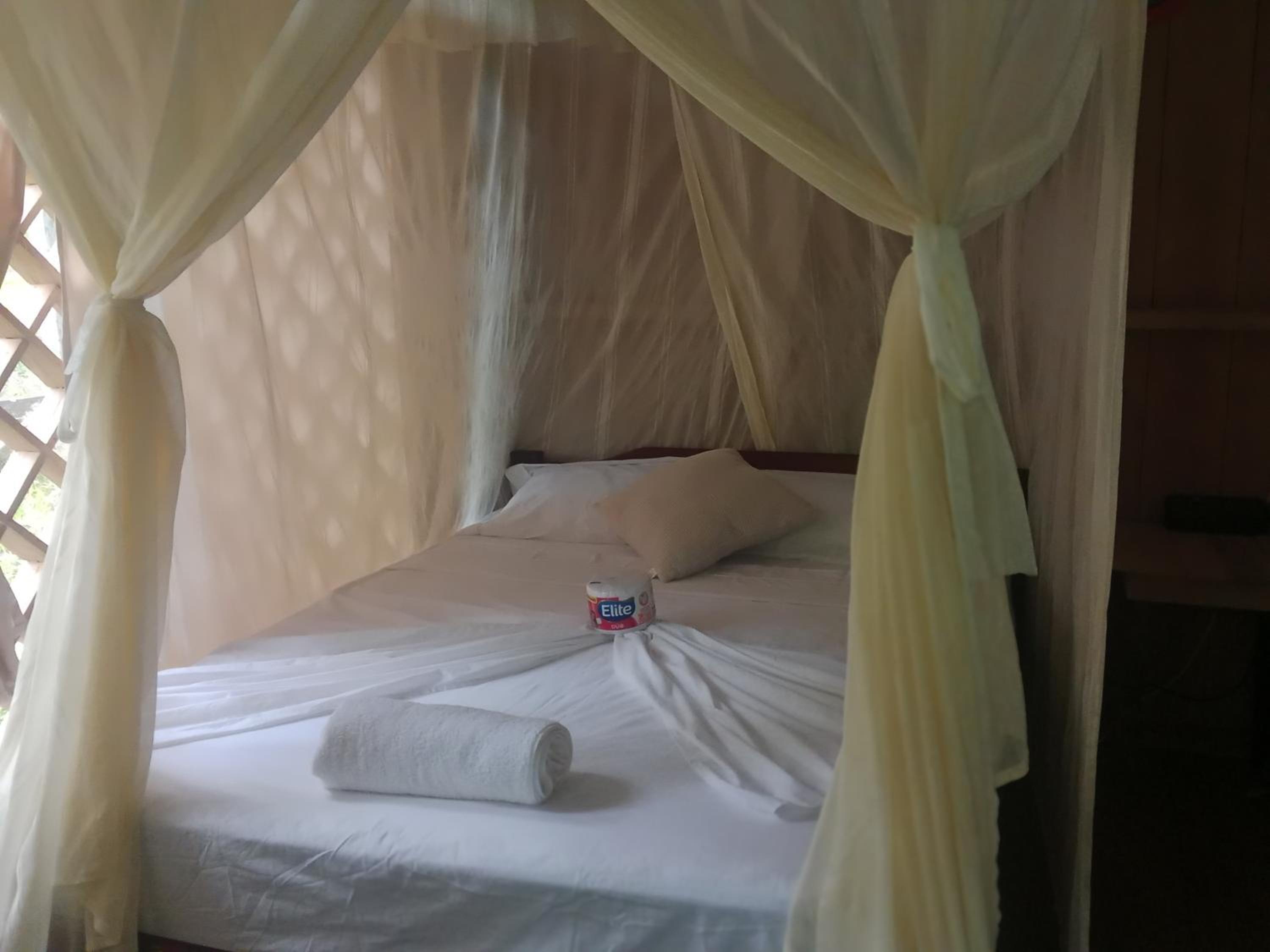 Twin Room photo 2