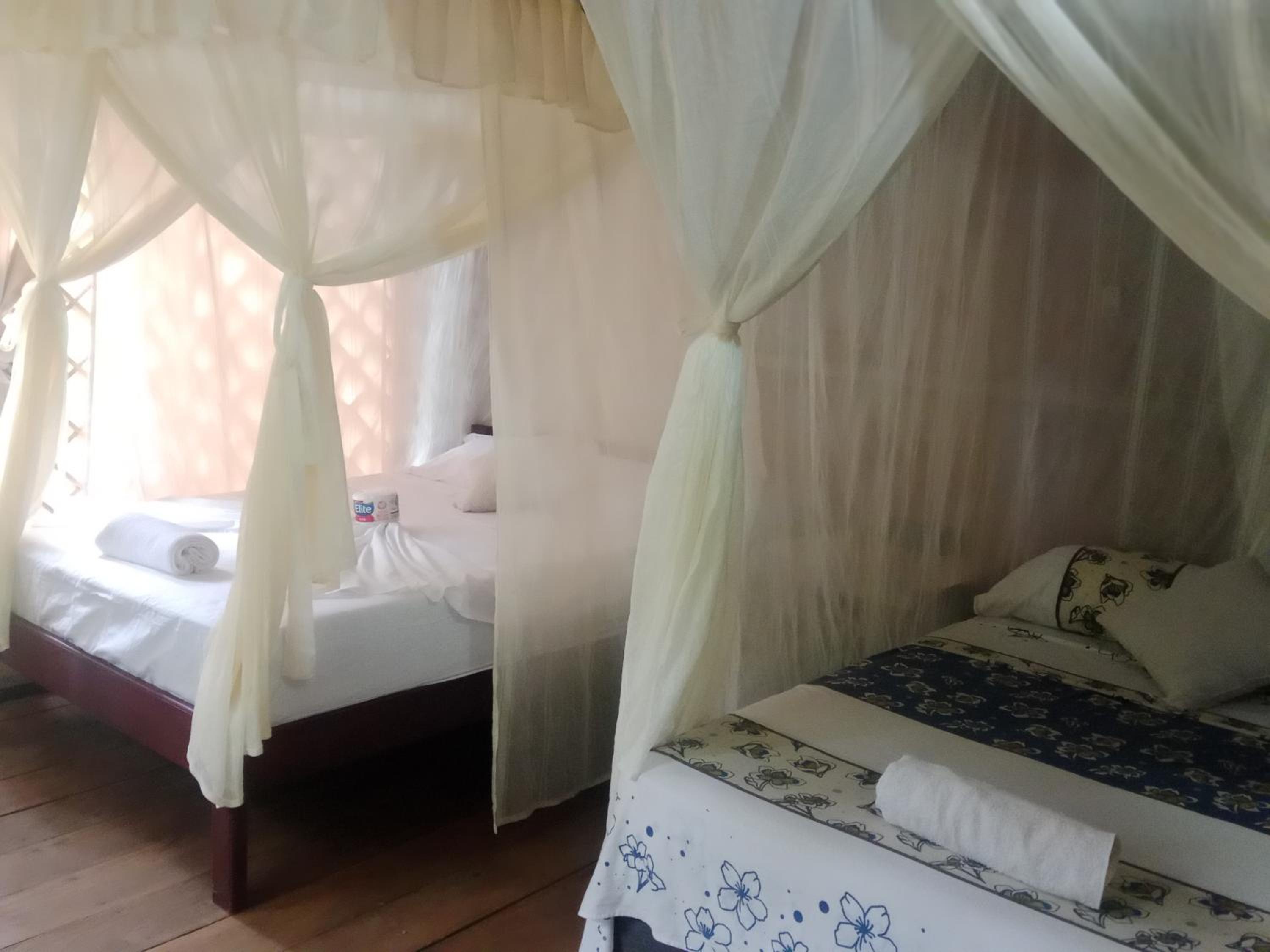 Twin Room photo 3